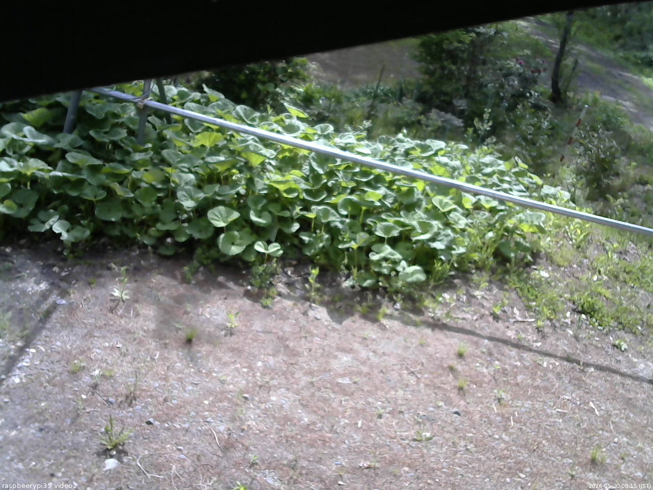 長野県菅平高原 ゆたか山荘 駐車場 2026/05/20 08:15