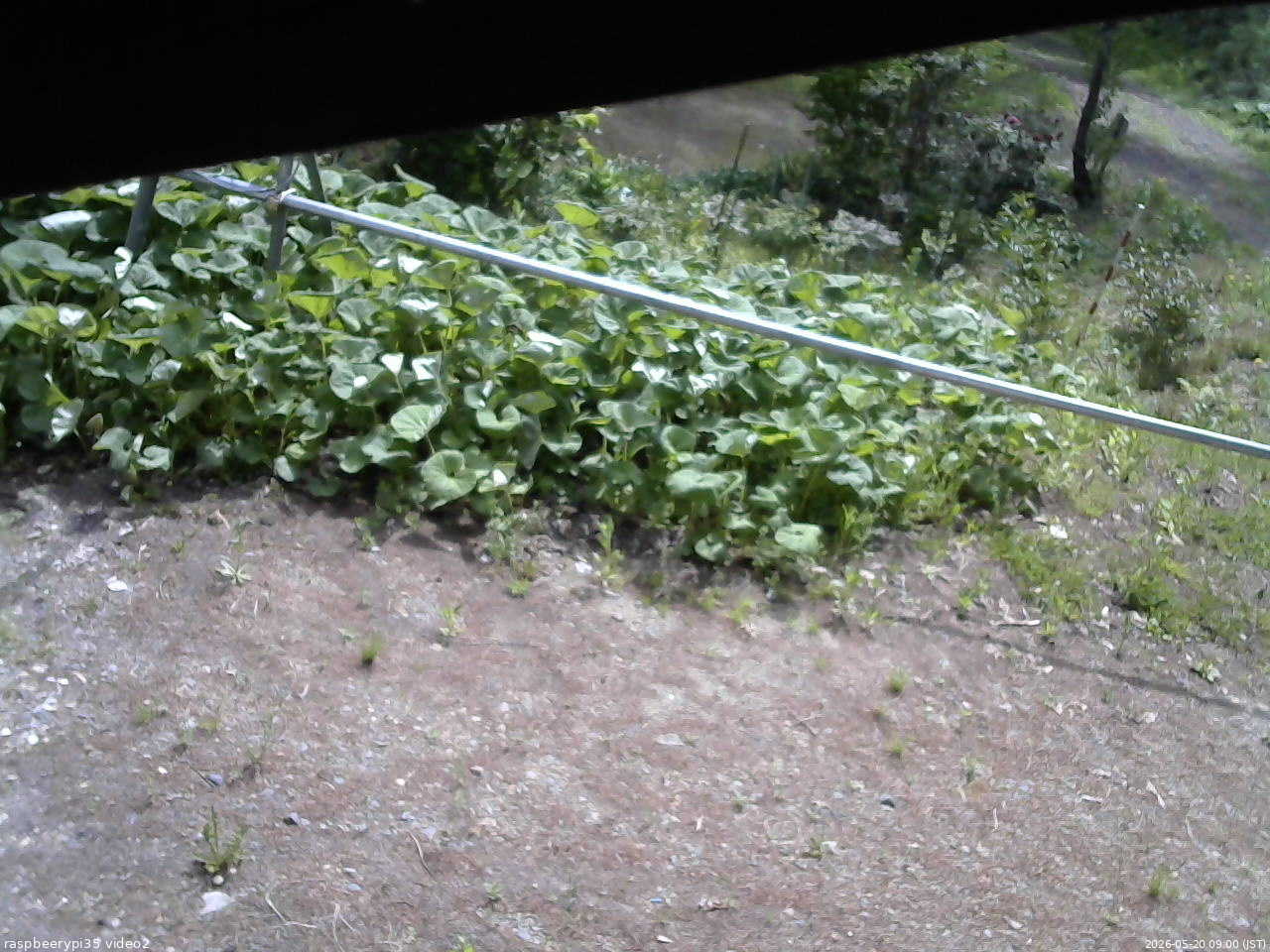長野県菅平高原 ゆたか山荘 駐車場 2026/05/20 09:00