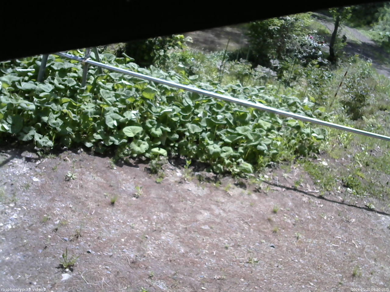 長野県菅平高原 ゆたか山荘 駐車場 2026/05/20 09:30