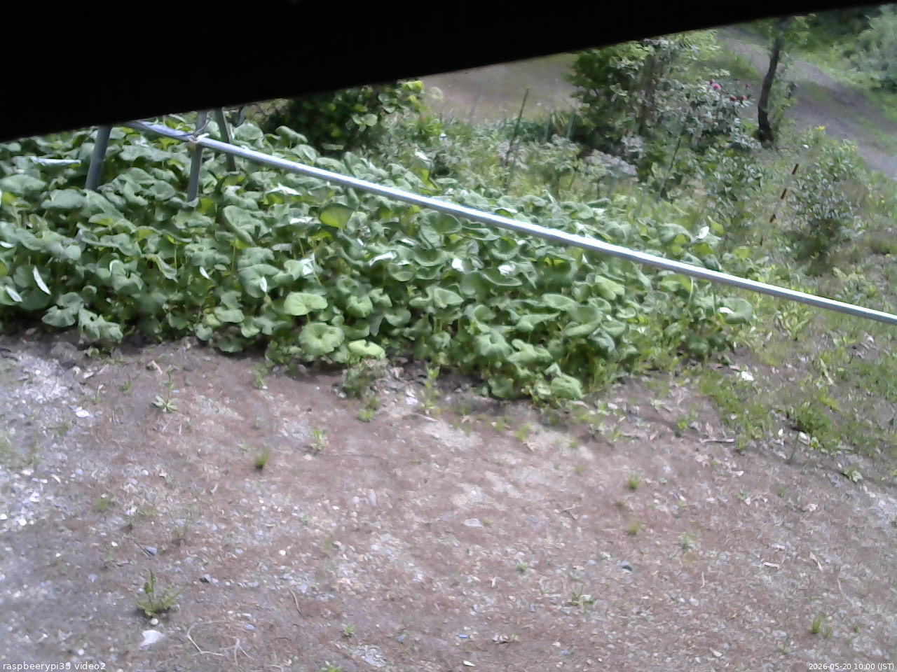 長野県菅平高原 ゆたか山荘 駐車場 2026/05/20 10:00
