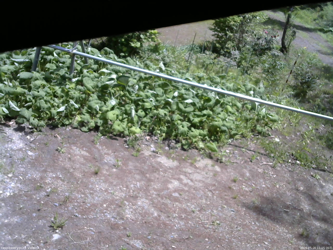 長野県菅平高原 ゆたか山荘 駐車場 2026/05/20 11:15
