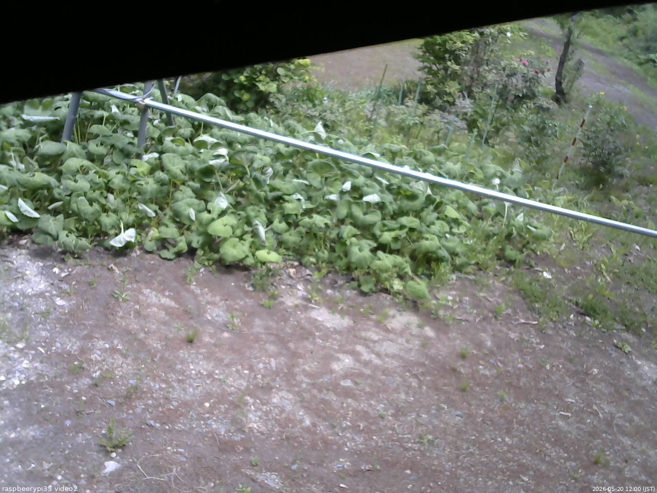 長野県菅平高原 ゆたか山荘 駐車場 2026/05/20 12:00