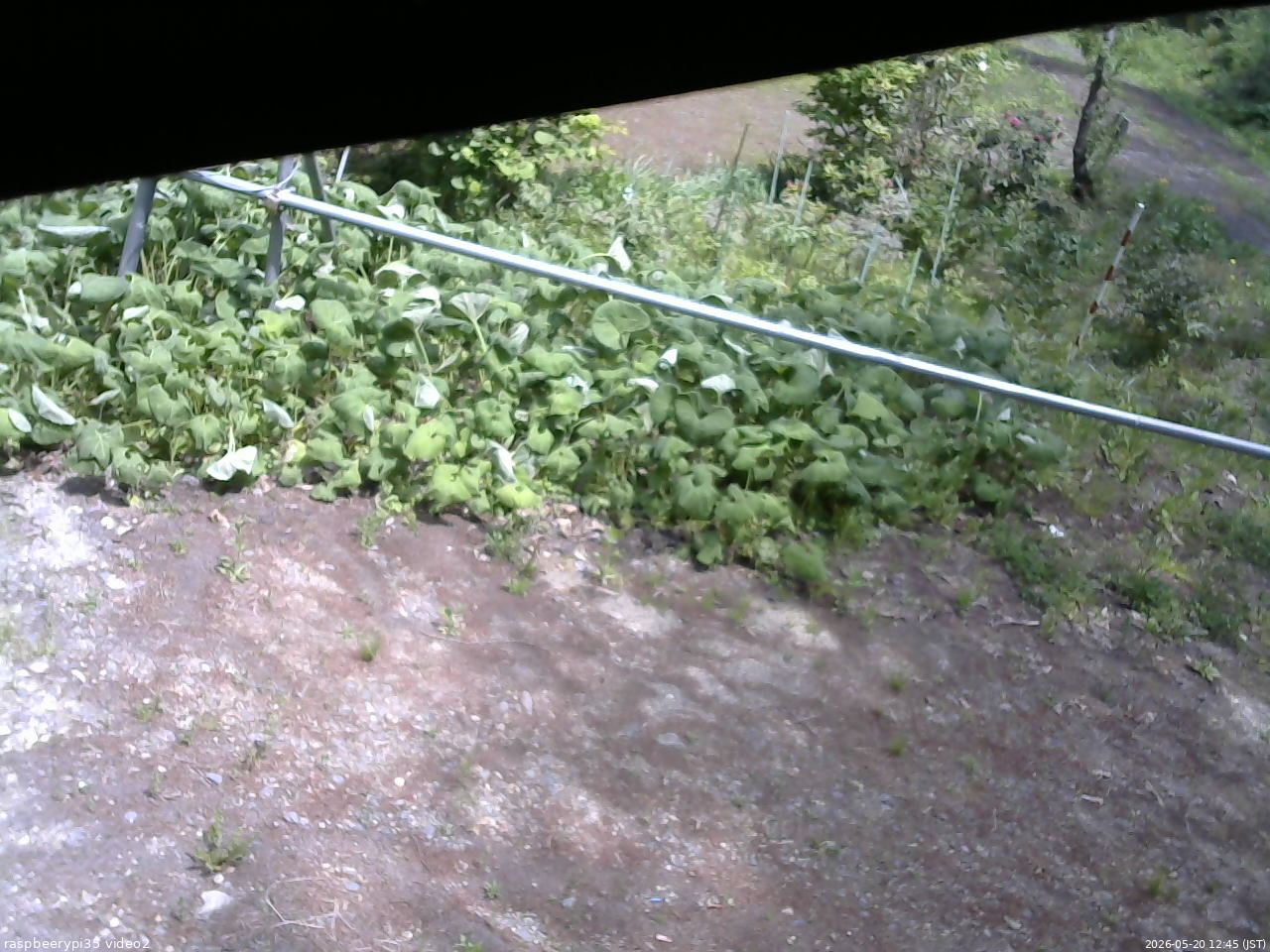 長野県菅平高原 ゆたか山荘 駐車場 2026/05/20 12:45