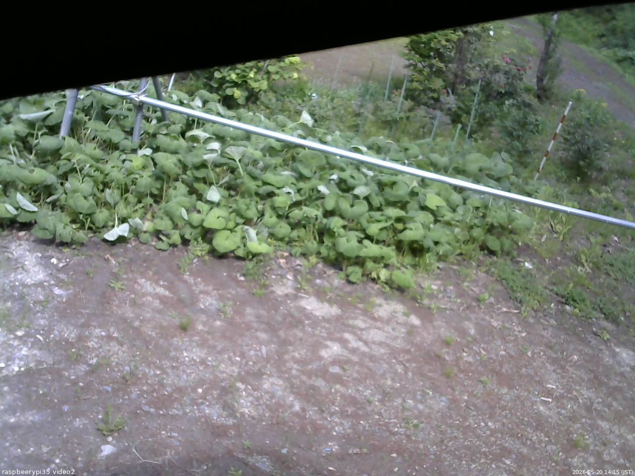 長野県菅平高原 ゆたか山荘 駐車場 2026/05/20 14:15