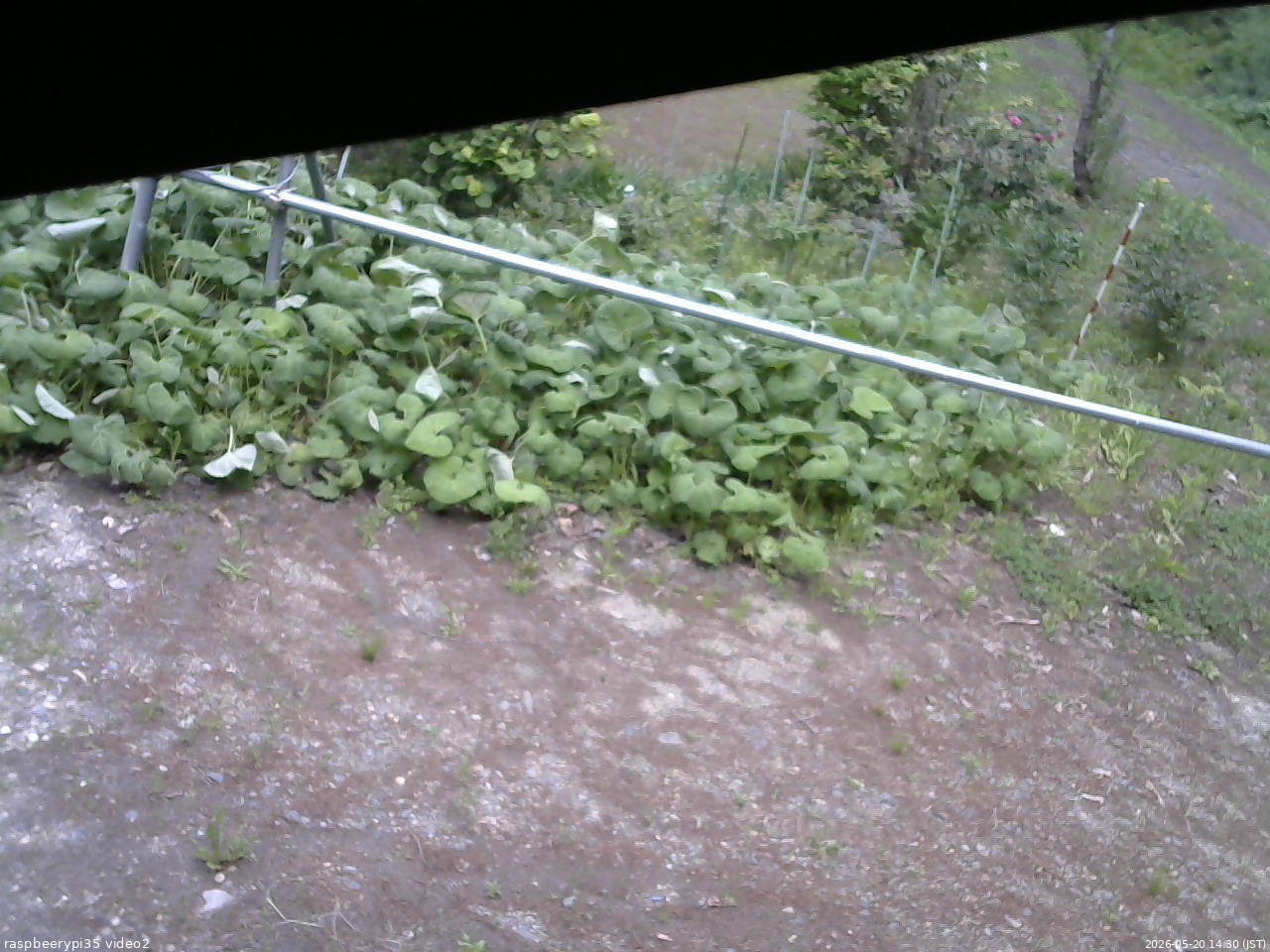 長野県菅平高原 ゆたか山荘 駐車場 2026/05/20 14:30