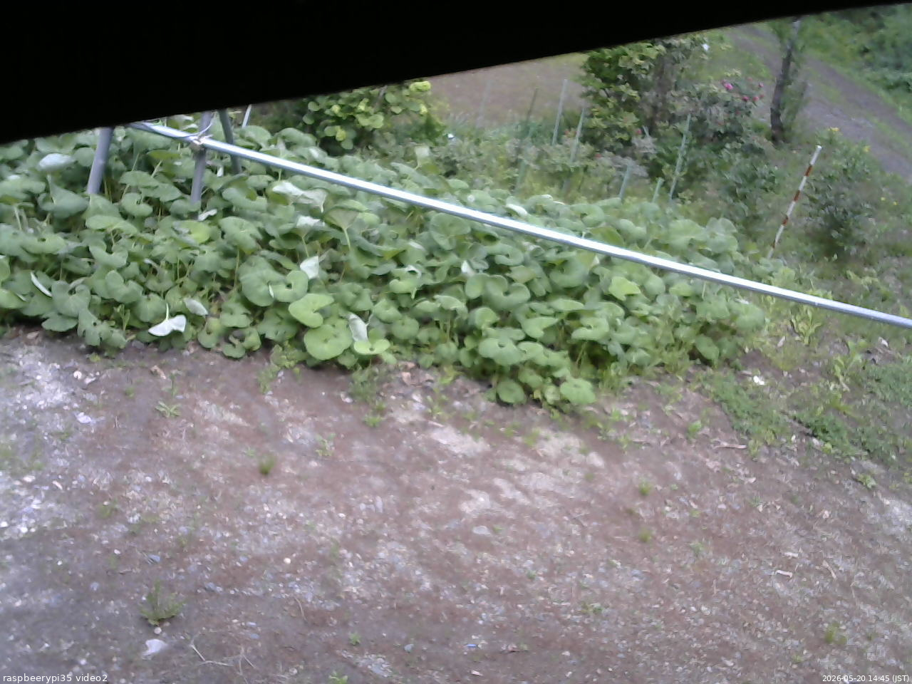長野県菅平高原 ゆたか山荘 駐車場 2026/05/20 14:45