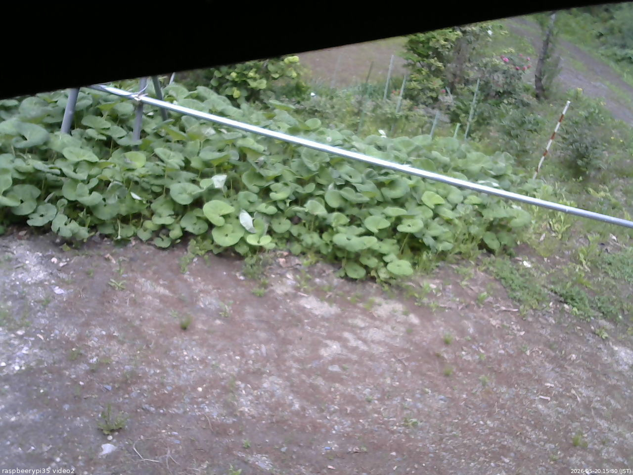 長野県菅平高原 ゆたか山荘 駐車場 2026/05/20 15:30
