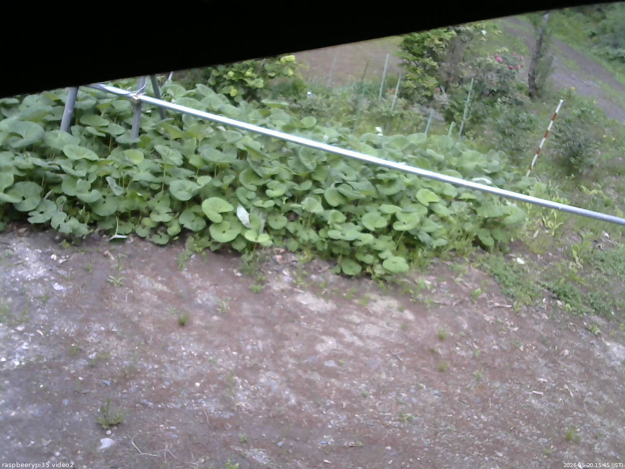 長野県菅平高原 ゆたか山荘 駐車場 2026/05/20 15:45