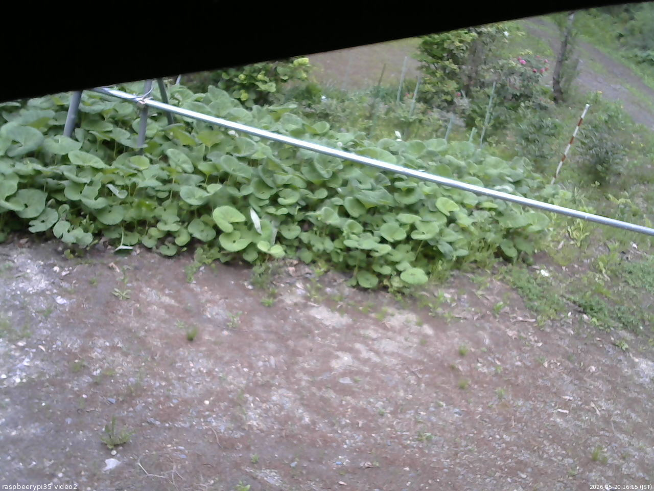 長野県菅平高原 ゆたか山荘 駐車場 2026/05/20 16:15