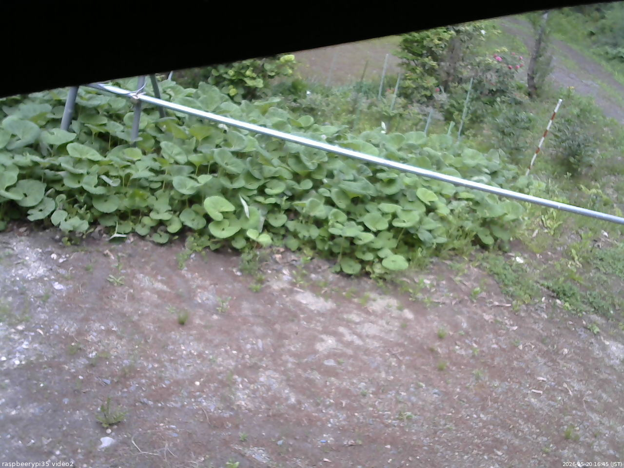 長野県菅平高原 ゆたか山荘 駐車場 2026/05/20 16:45