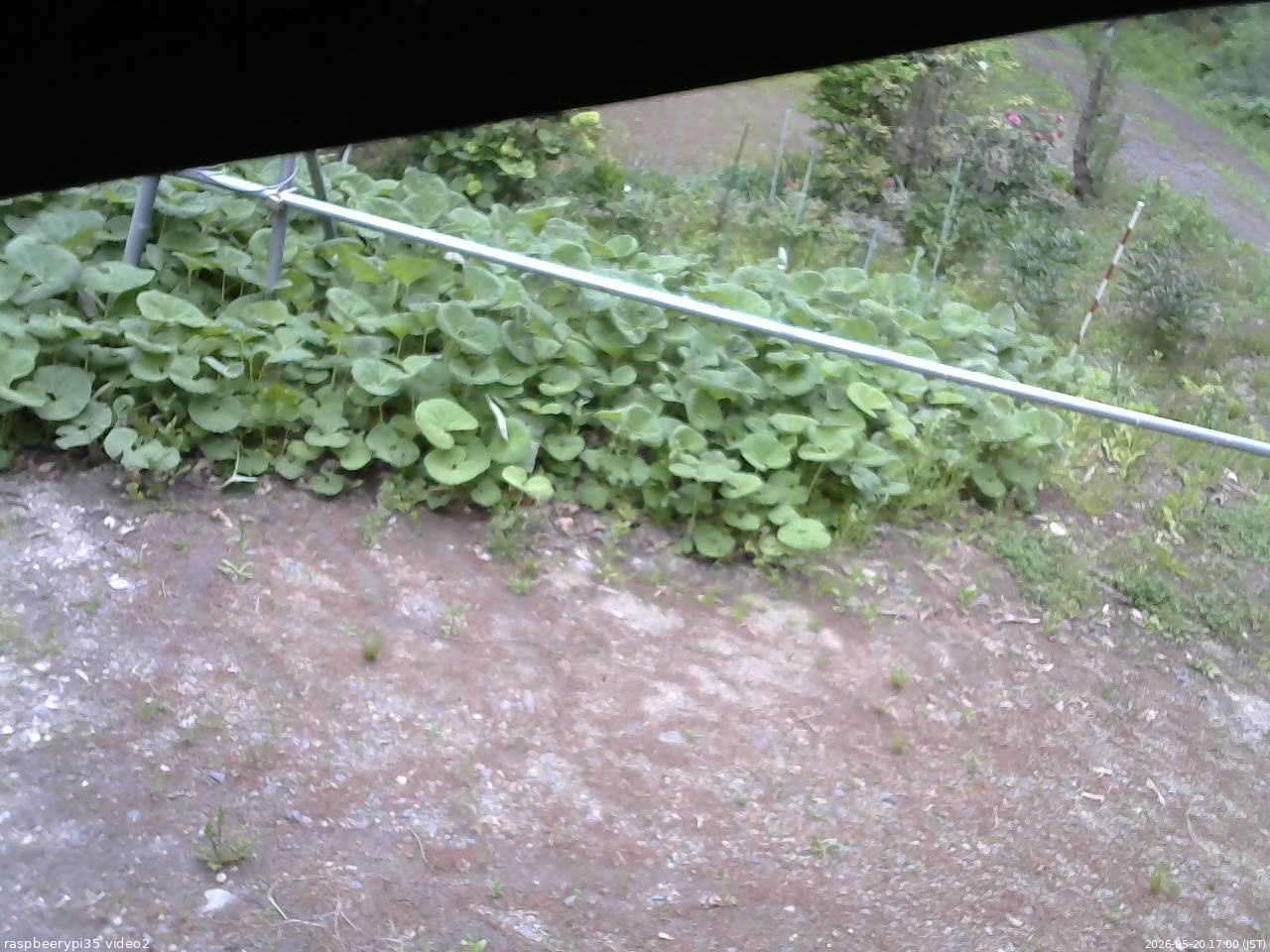 長野県菅平高原 ゆたか山荘 駐車場 2026/05/20 17:00