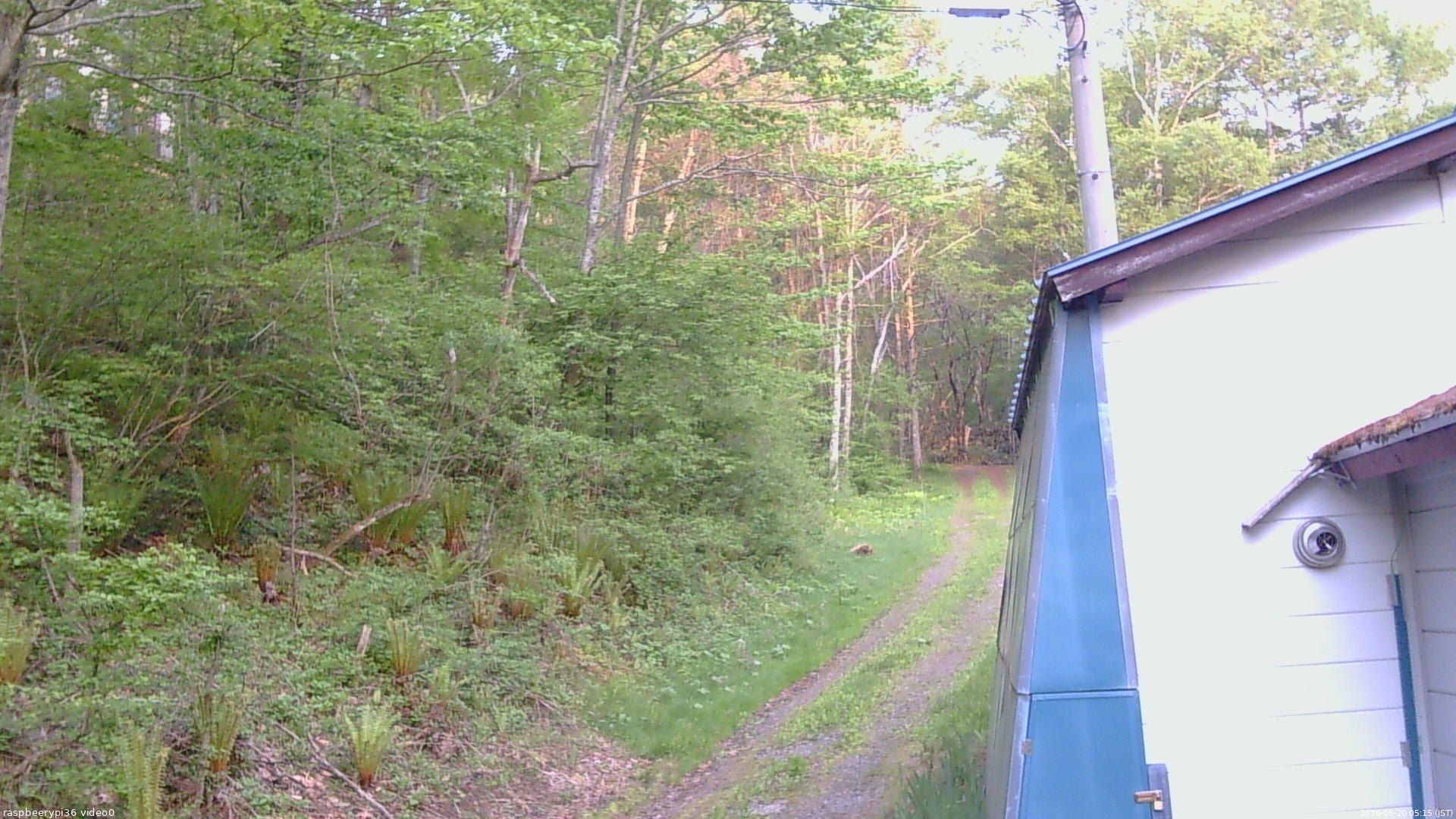 長野県菅平高原 ゆたか山荘 ゆたか山荘 2026/05/20 05:15