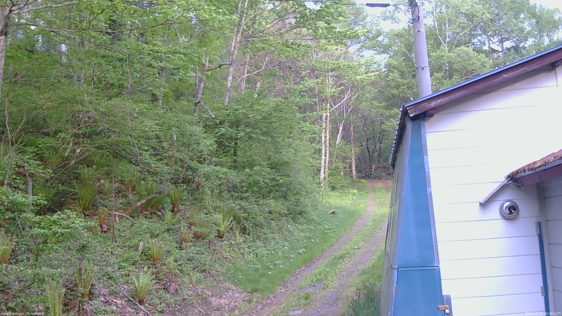 長野県菅平高原 ゆたか山荘 ゆたか山荘 2026/05/20 05:45