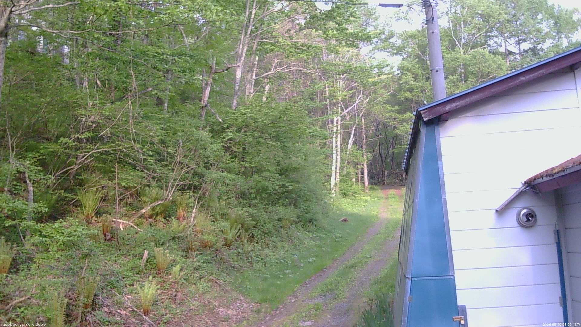 長野県菅平高原 ゆたか山荘 ゆたか山荘 2026/05/20 06:00