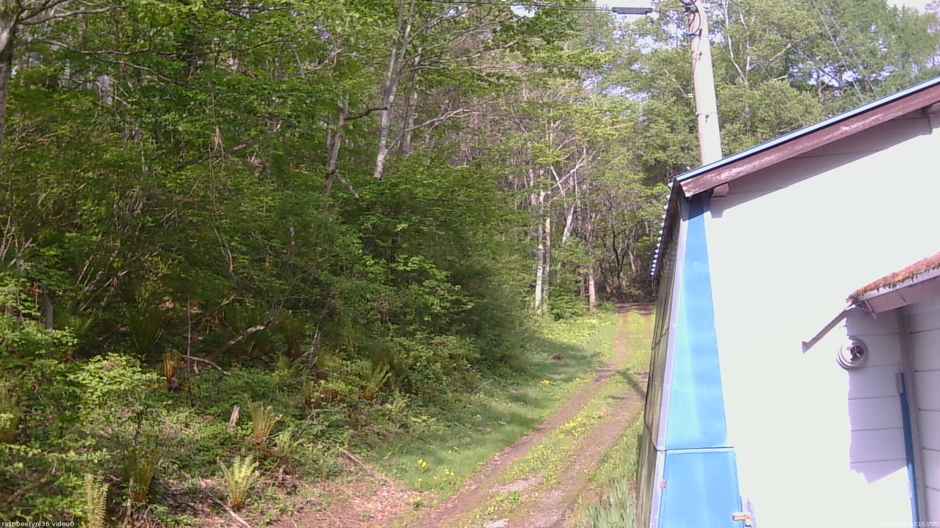 長野県菅平高原 ゆたか山荘 ゆたか山荘 2026/05/20 07:15