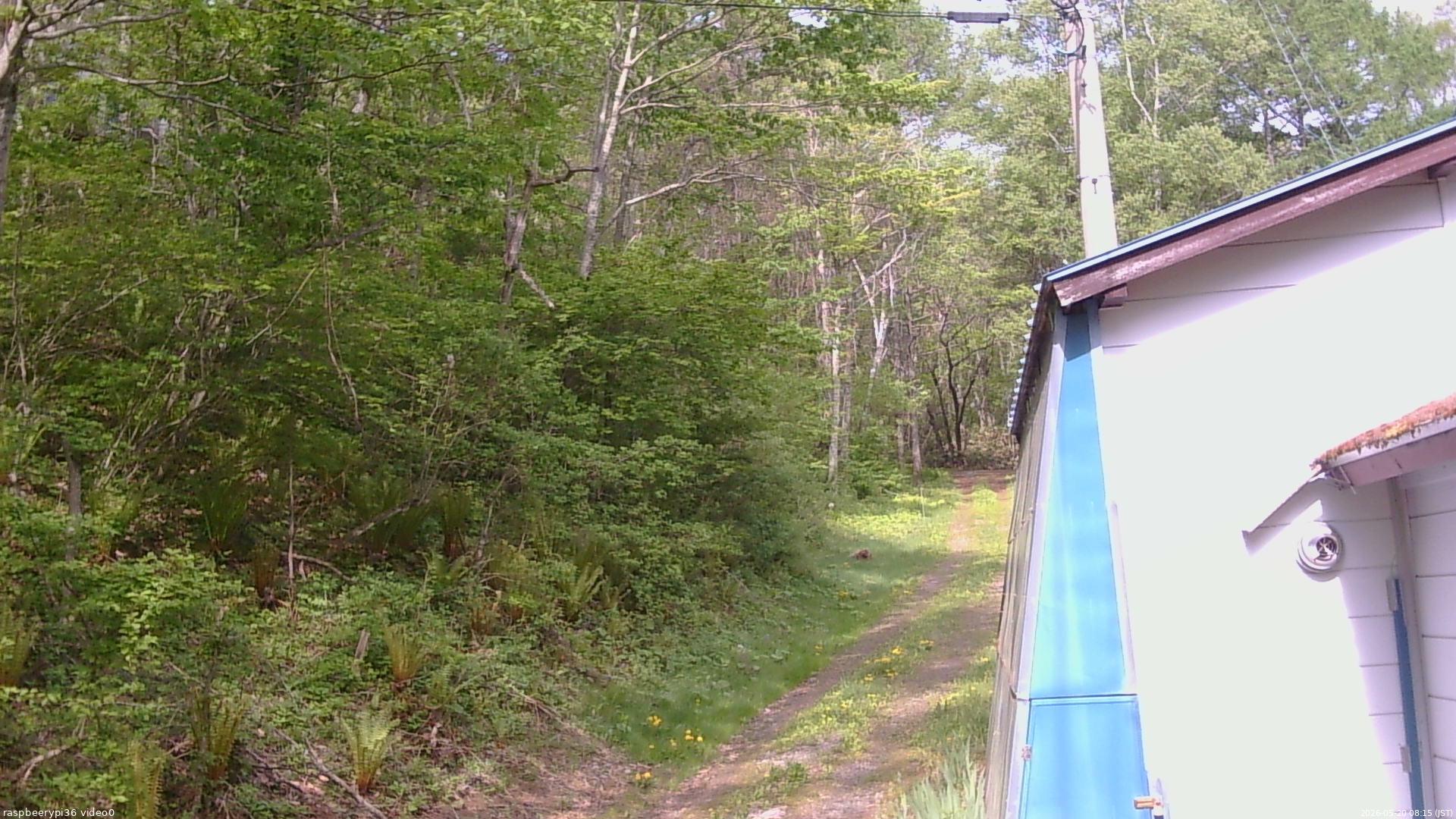長野県菅平高原 ゆたか山荘 ゆたか山荘 2026/05/20 08:15