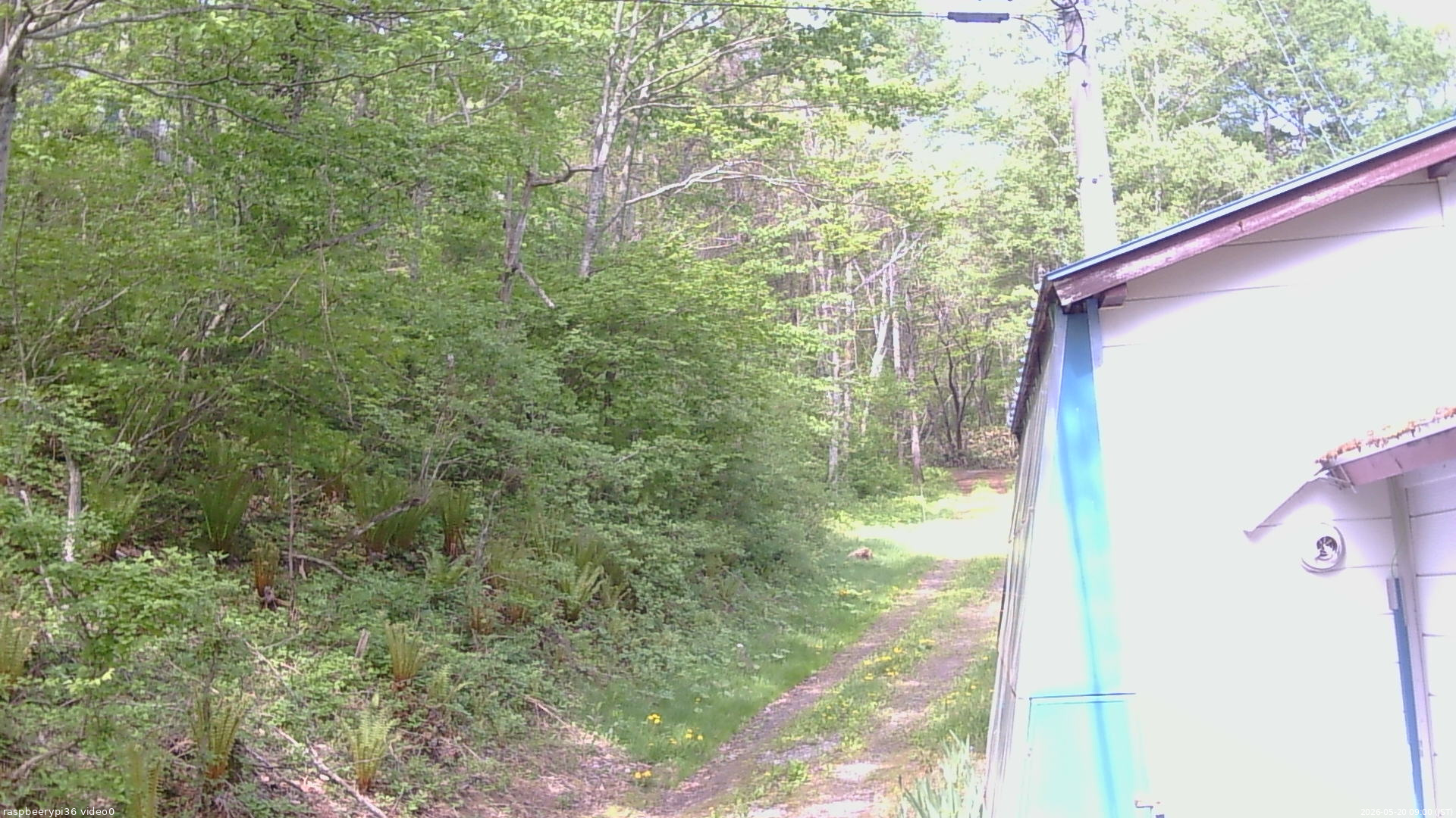 長野県菅平高原 ゆたか山荘 ゆたか山荘 2026/05/20 09:00