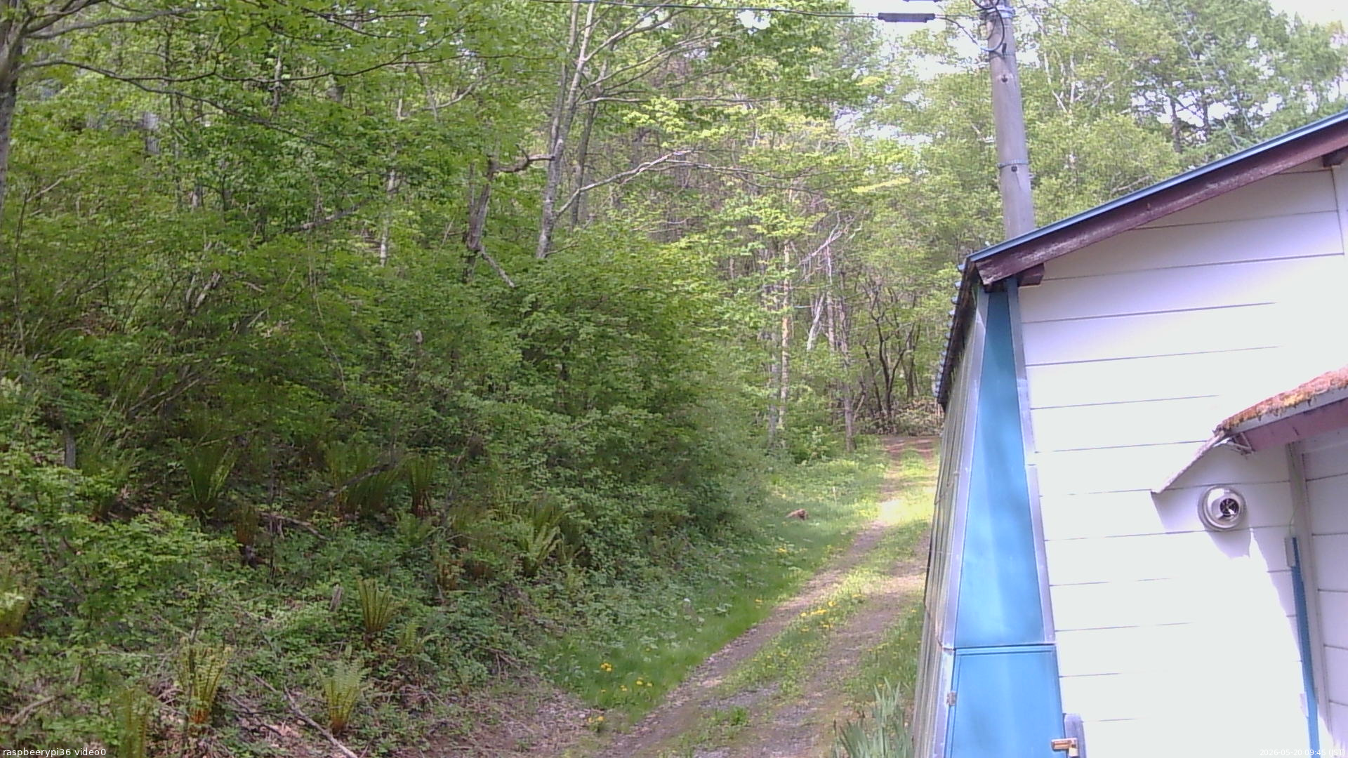 長野県菅平高原 ゆたか山荘 ゆたか山荘 2026/05/20 09:45