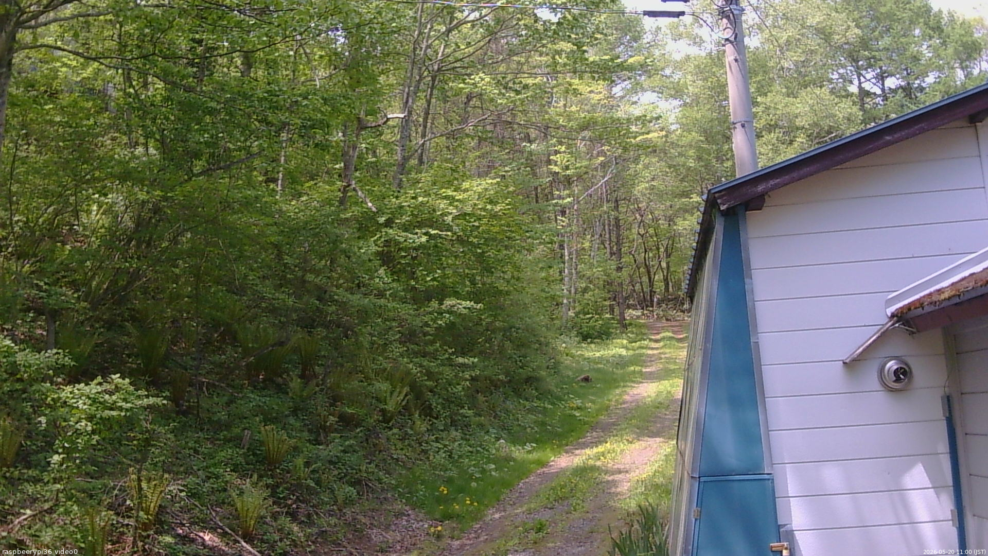 長野県菅平高原 ゆたか山荘 ゆたか山荘 2026/05/20 11:00