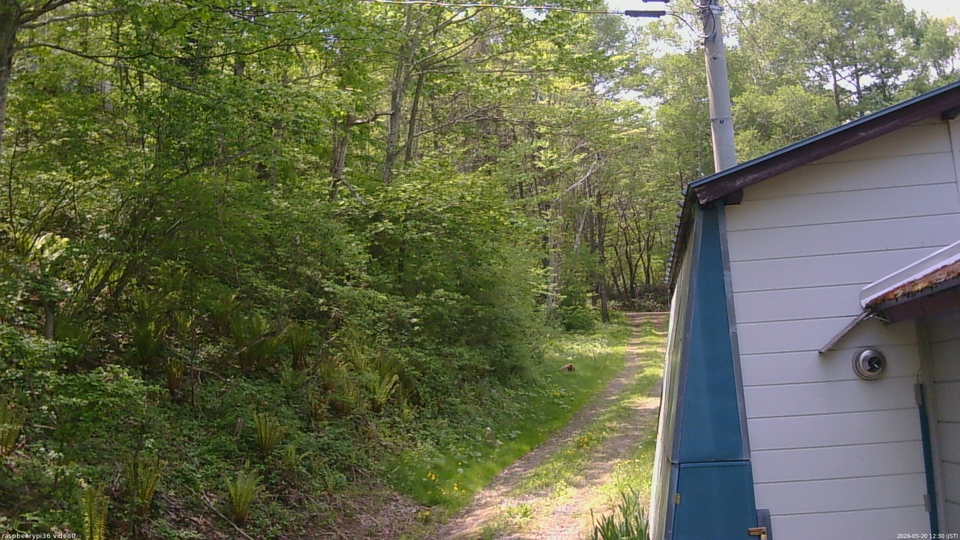 長野県菅平高原 ゆたか山荘 ゆたか山荘 2026/05/20 12:30
