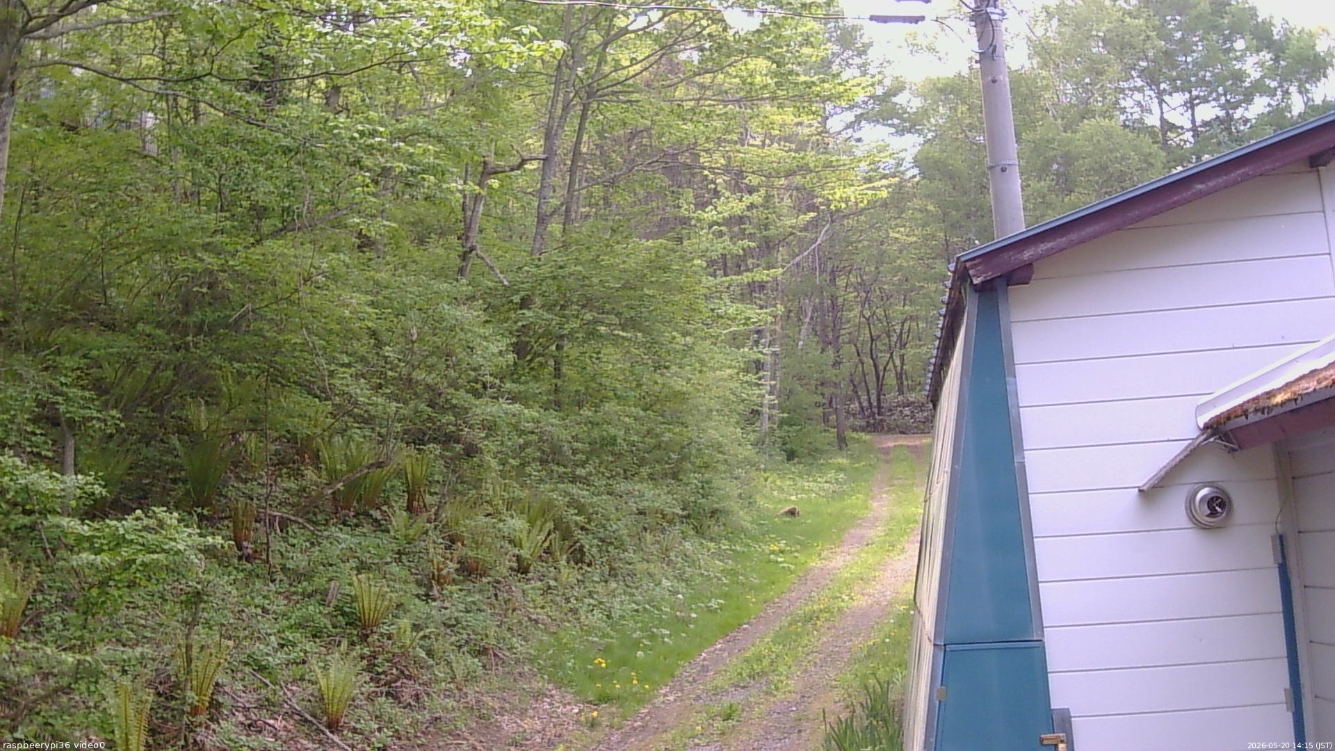 長野県菅平高原 ゆたか山荘 ゆたか山荘 2026/05/20 14:15
