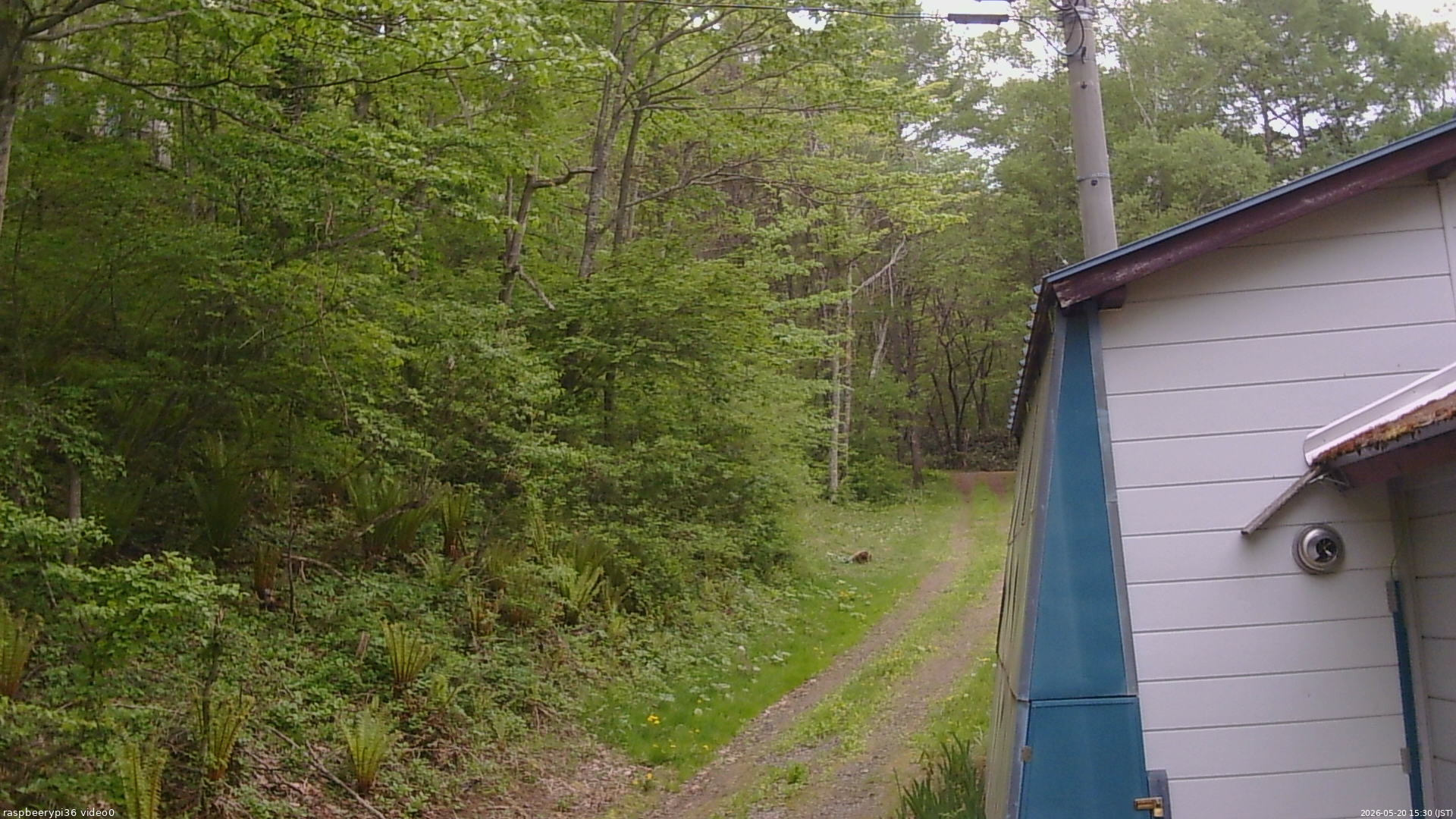 長野県菅平高原 ゆたか山荘 ゆたか山荘 2026/05/20 15:30