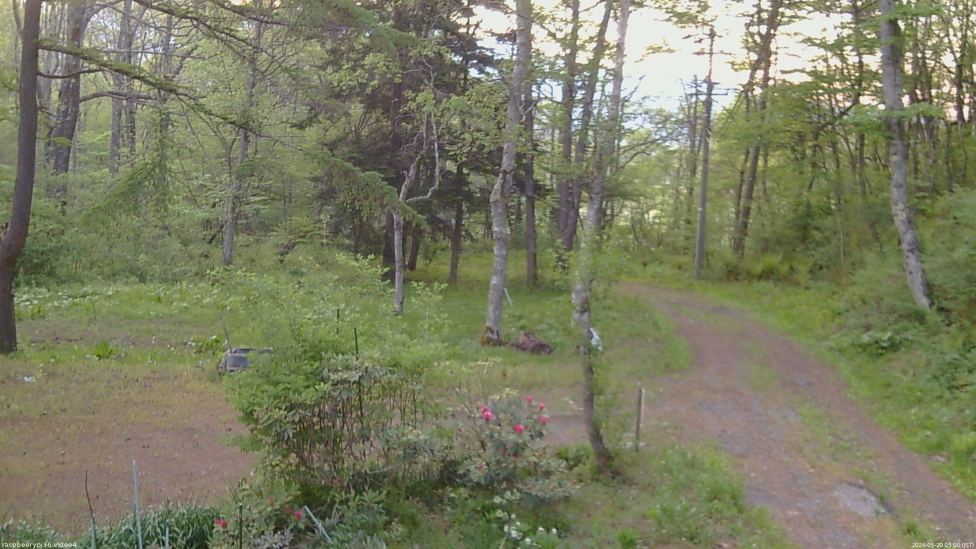 長野県菅平高原 ゆたか山荘 坂上 2026/05/20 05:00