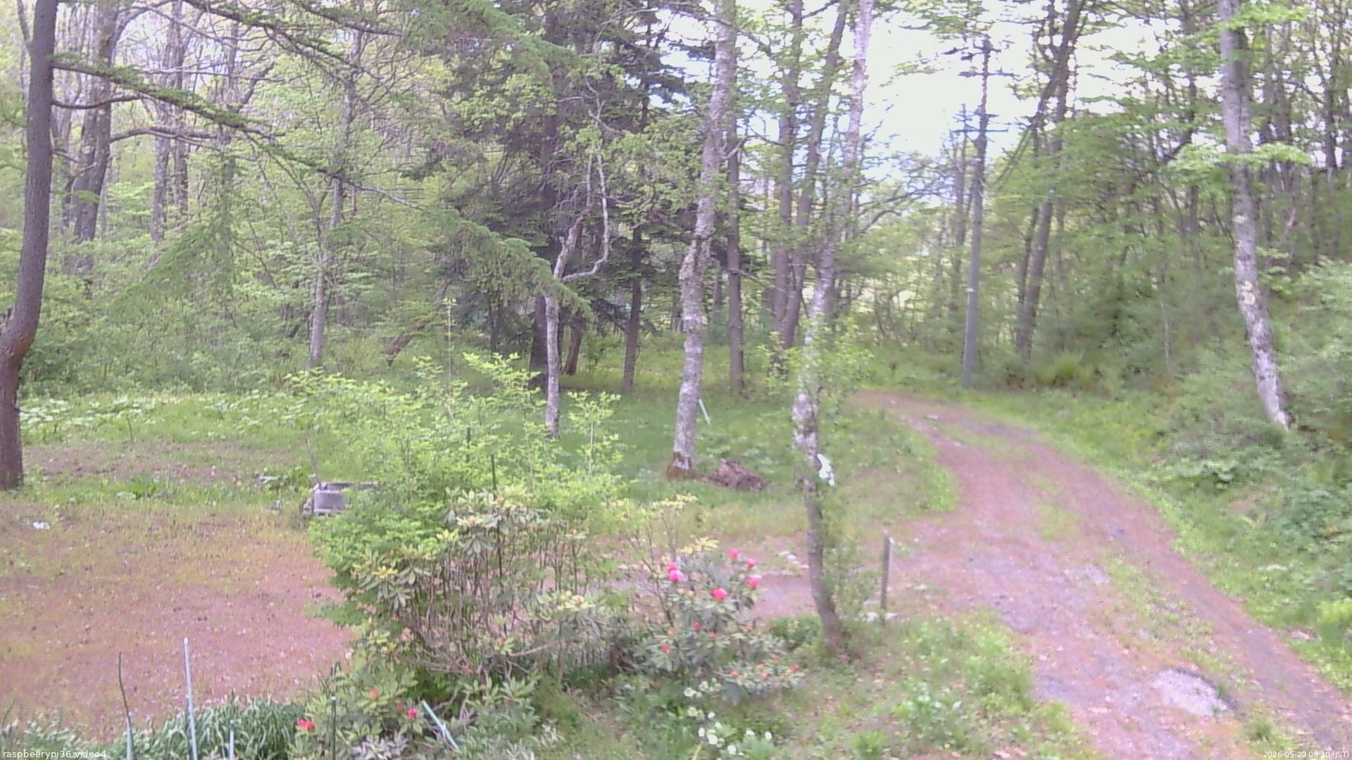 長野県菅平高原 ゆたか山荘 坂上 2026/05/20 06:30