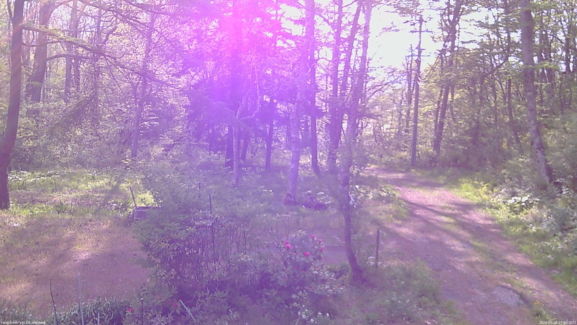 長野県菅平高原 ゆたか山荘 坂上 2026/05/20 07:00