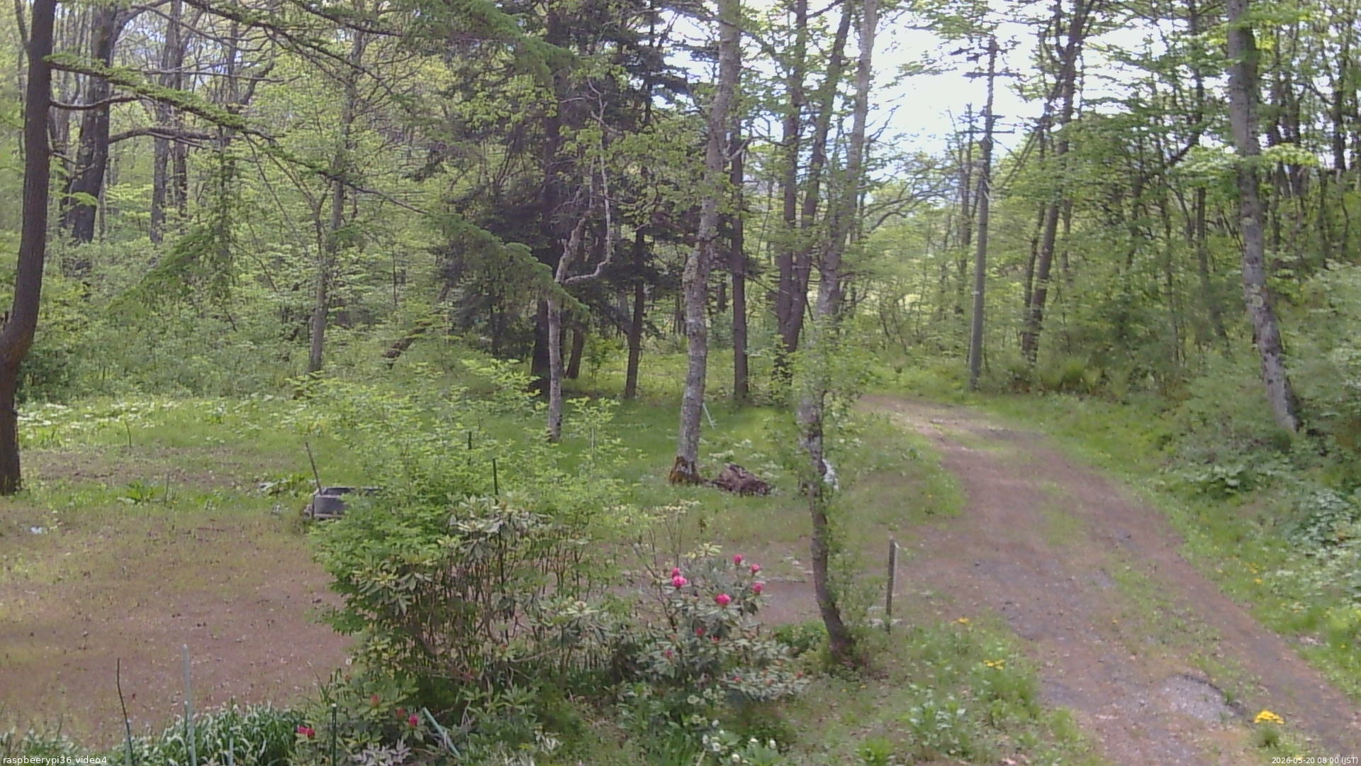 長野県菅平高原 ゆたか山荘 坂上 2026/05/20 08:00