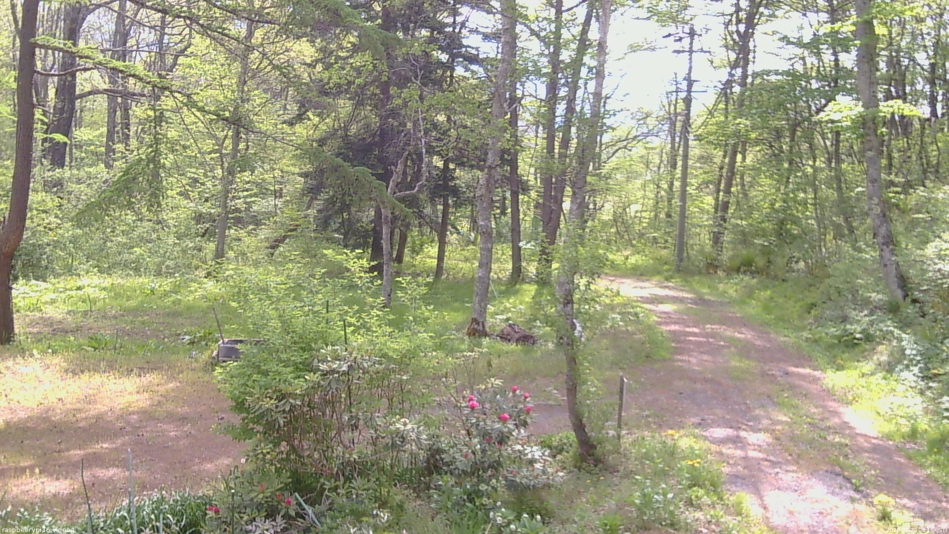 長野県菅平高原 ゆたか山荘 坂上 2026/05/20 08:15