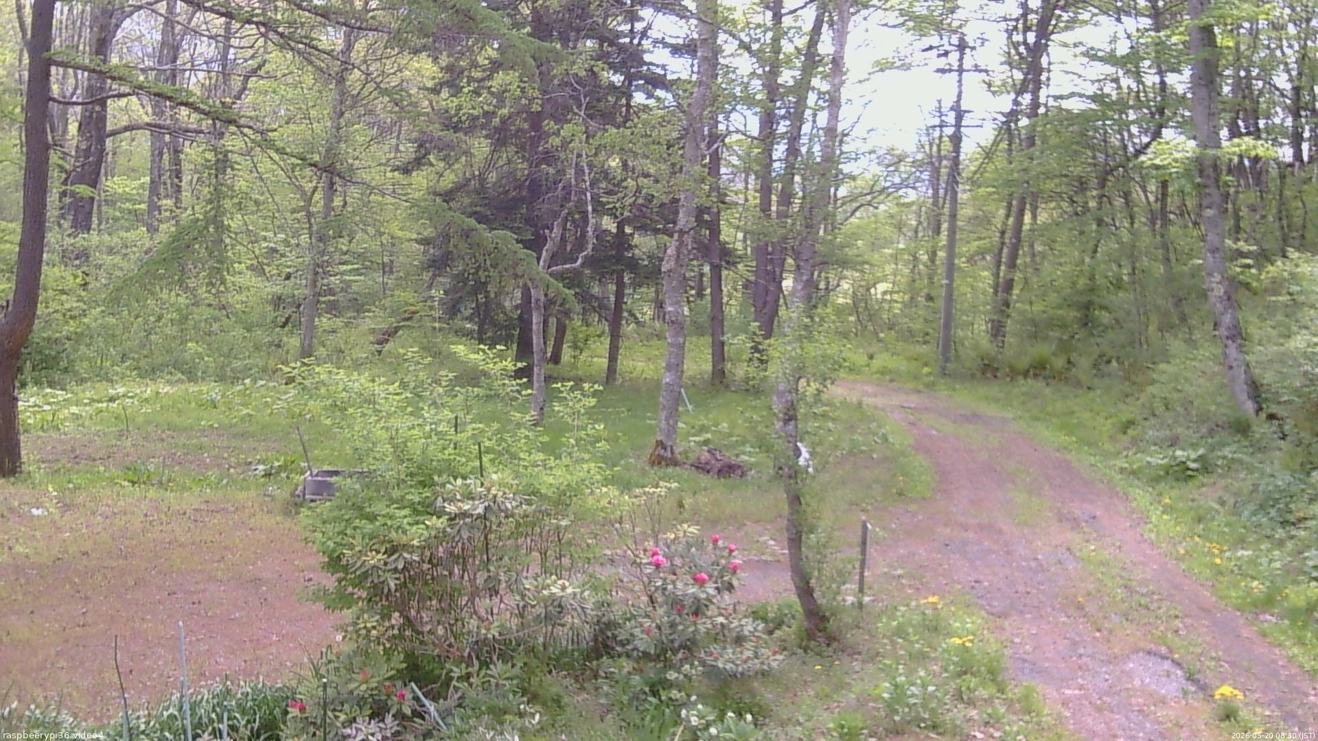 長野県菅平高原 ゆたか山荘 坂上 2026/05/20 08:30