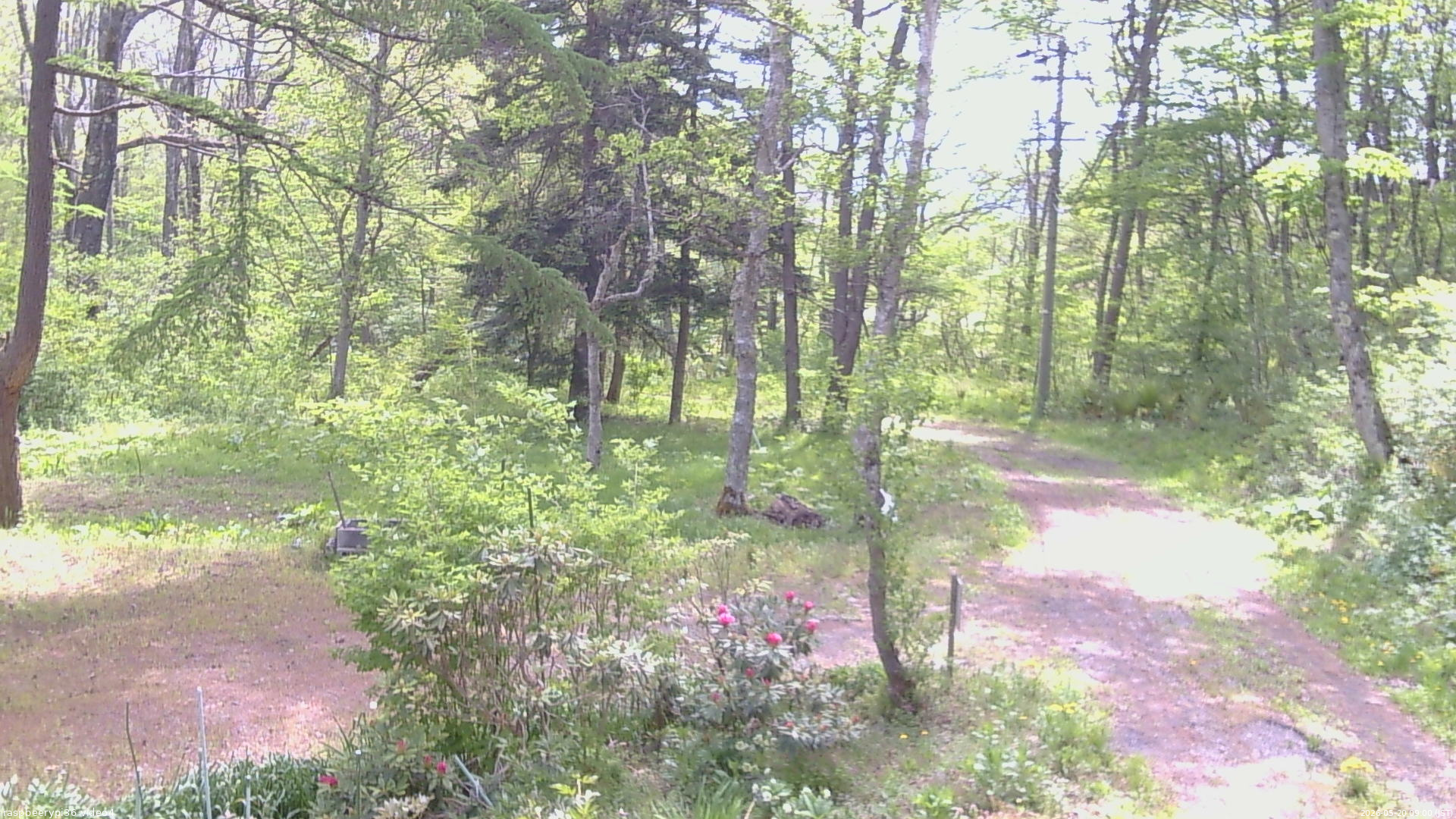 長野県菅平高原 ゆたか山荘 坂上 2026/05/20 09:00
