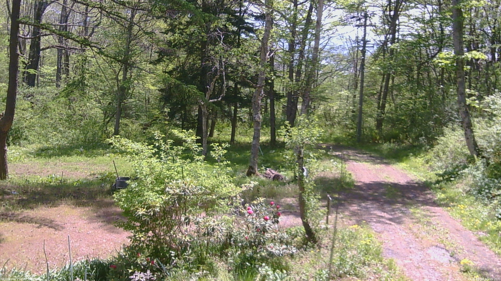 長野県菅平高原 ゆたか山荘 坂上 2026/05/20 10:15