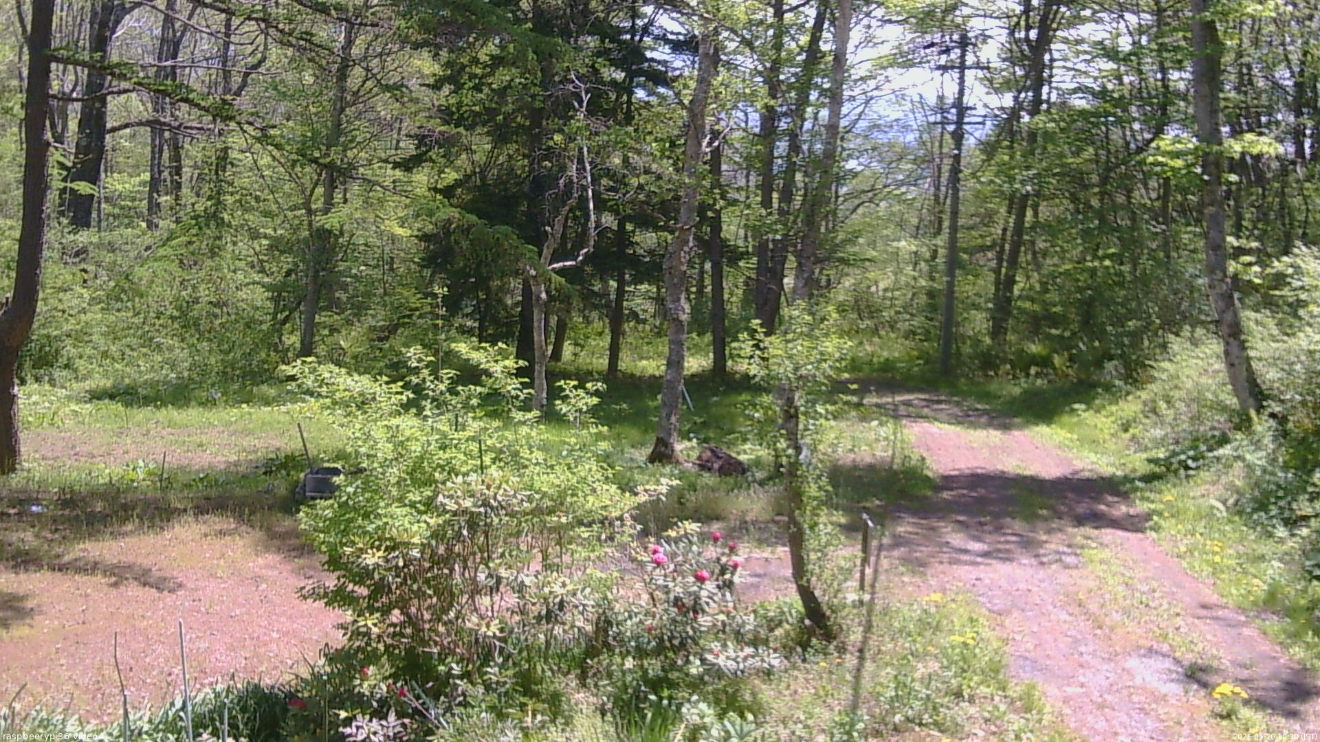 長野県菅平高原 ゆたか山荘 坂上 2026/05/20 10:30