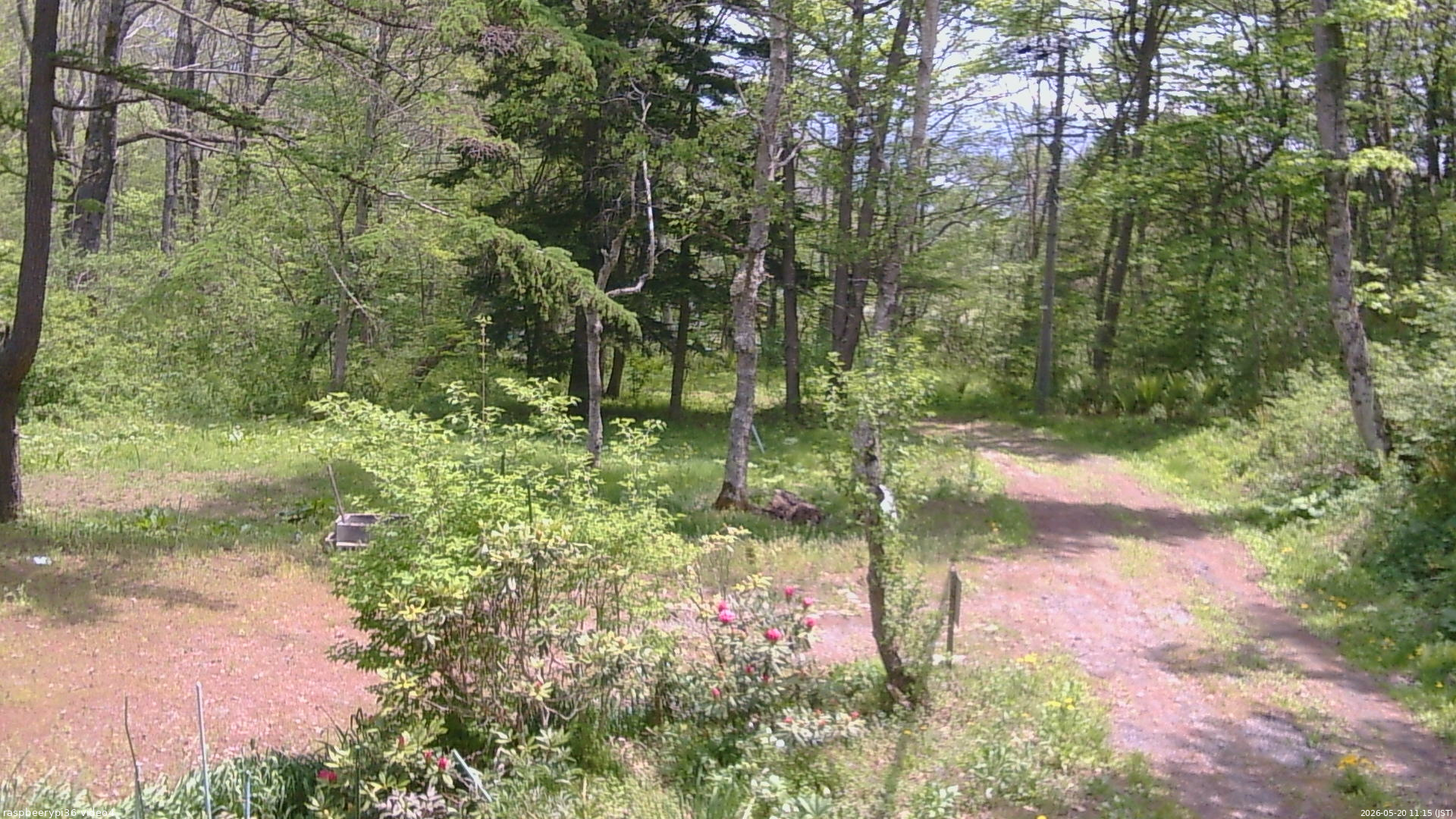 長野県菅平高原 ゆたか山荘 坂上 2026/05/20 11:15