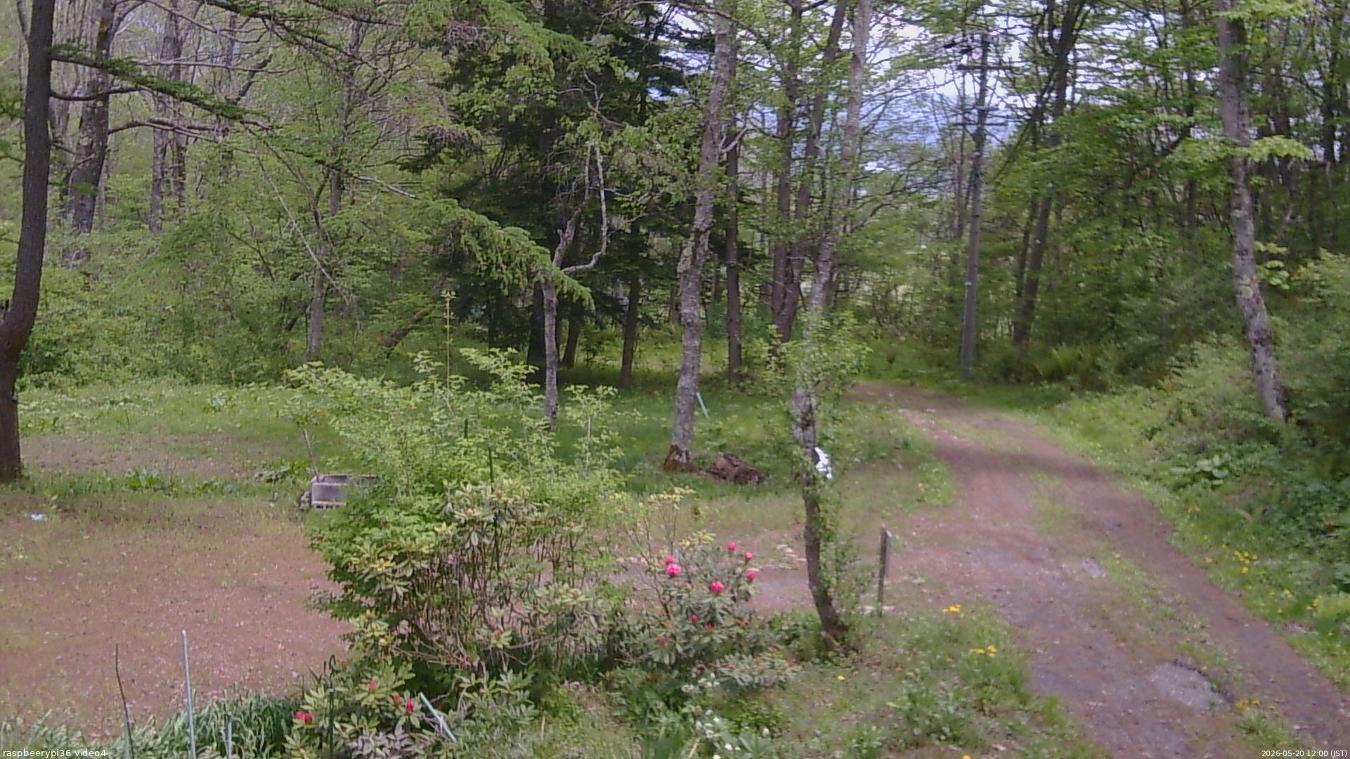 長野県菅平高原 ゆたか山荘 坂上 2026/05/20 12:00
