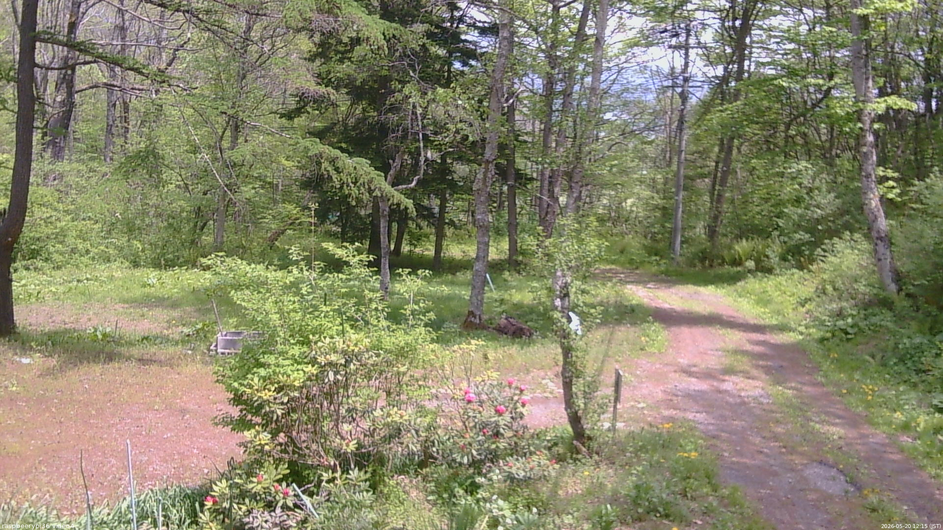 長野県菅平高原 ゆたか山荘 坂上 2026/05/20 12:15