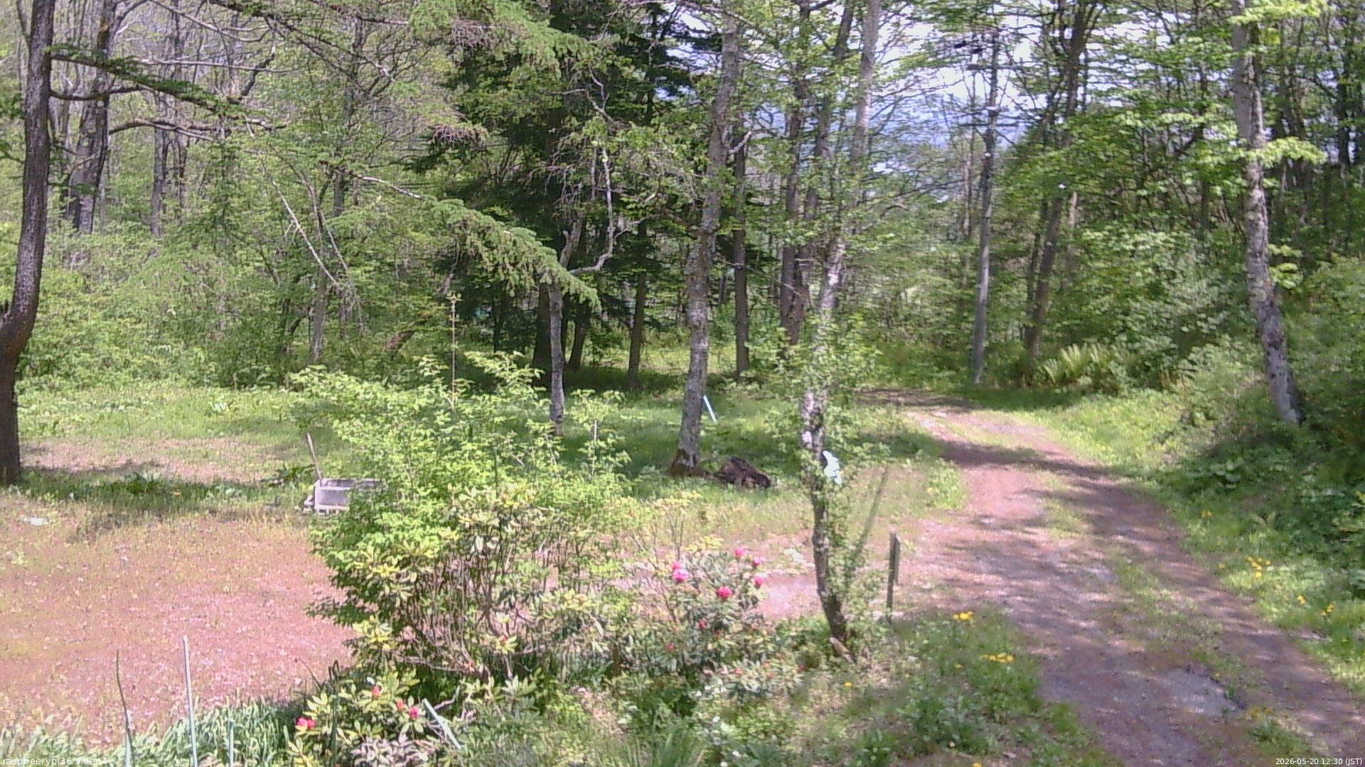 長野県菅平高原 ゆたか山荘 坂上 2026/05/20 12:30