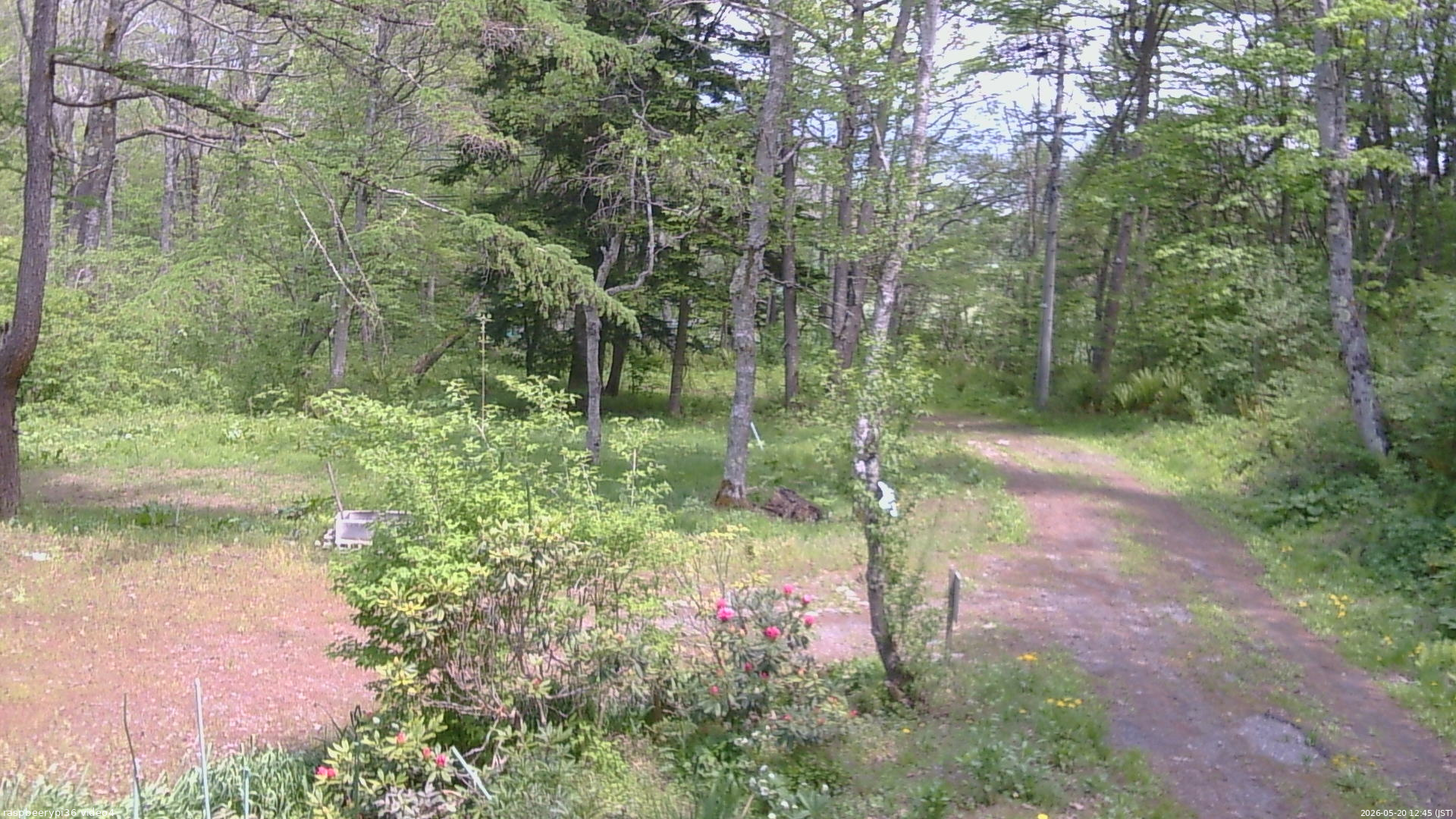 長野県菅平高原 ゆたか山荘 坂上 2026/05/20 12:45