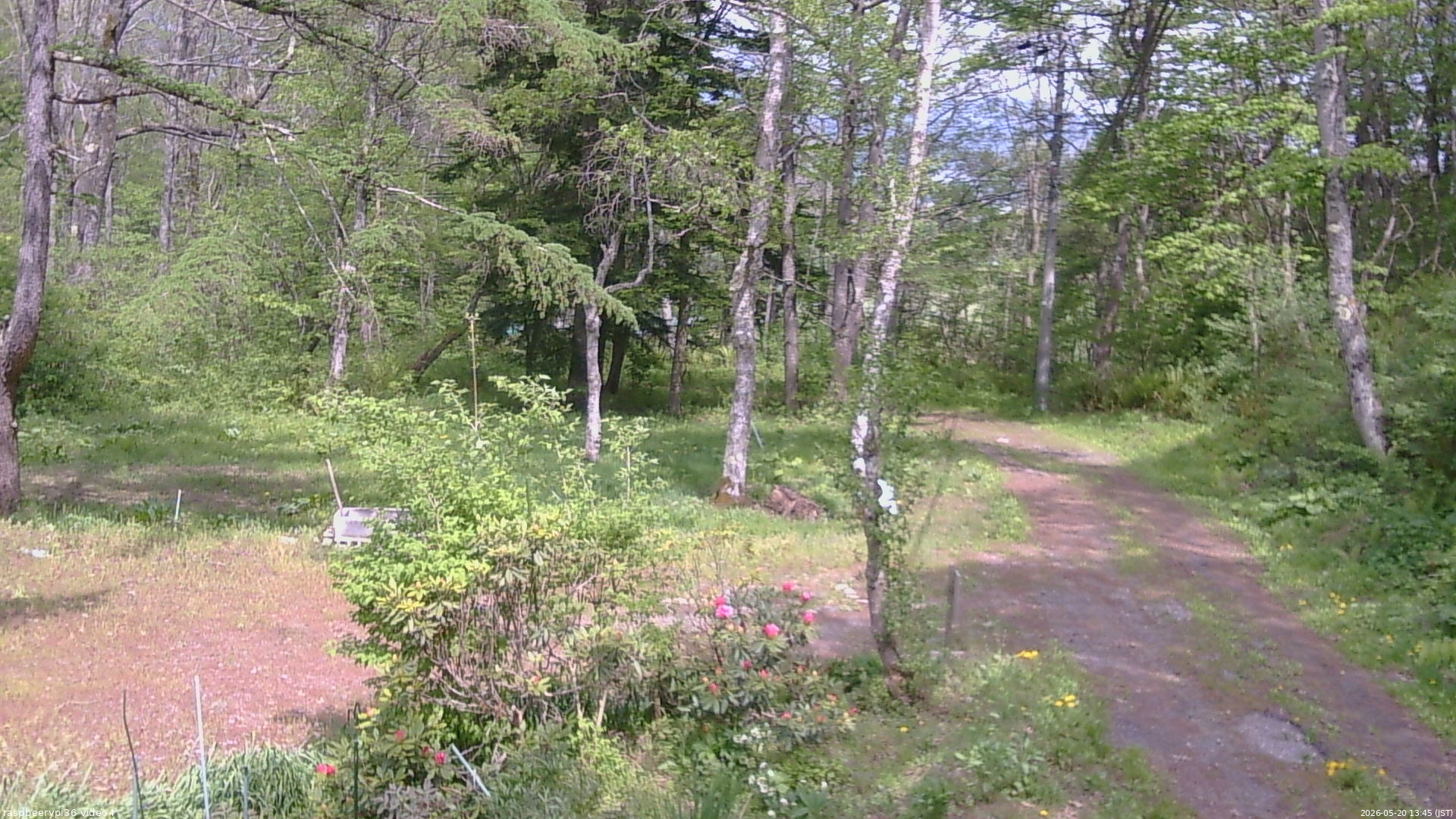 長野県菅平高原 ゆたか山荘 坂上 2026/05/20 13:45