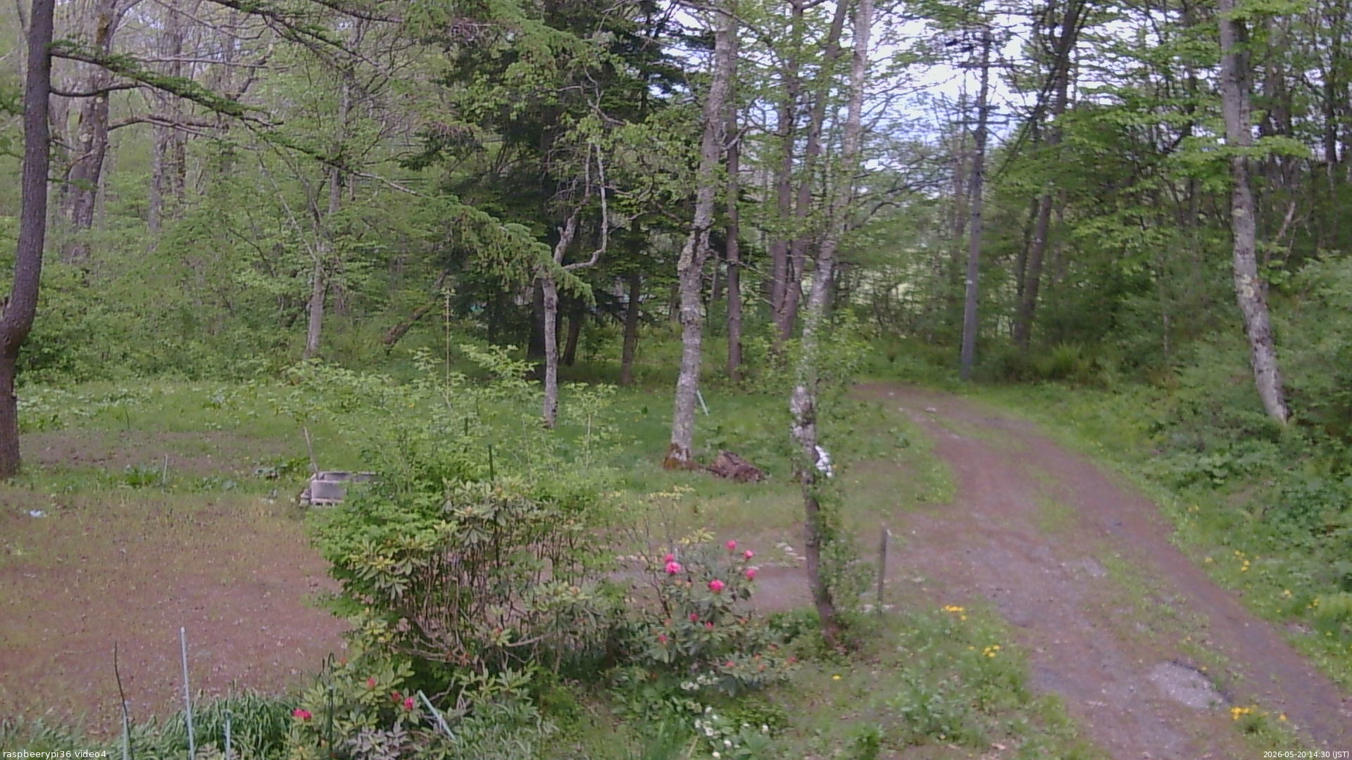 長野県菅平高原 ゆたか山荘 坂上 2026/05/20 14:30