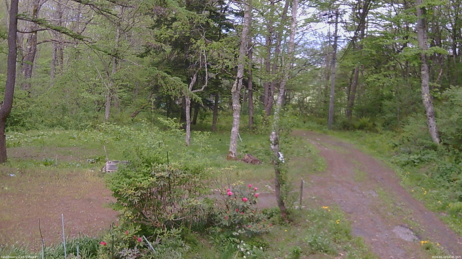 長野県菅平高原 ゆたか山荘 坂上 2026/05/20 14:45