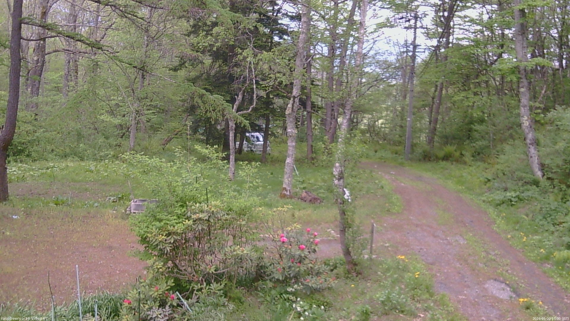 長野県菅平高原 ゆたか山荘 坂上 2026/05/20 15:00