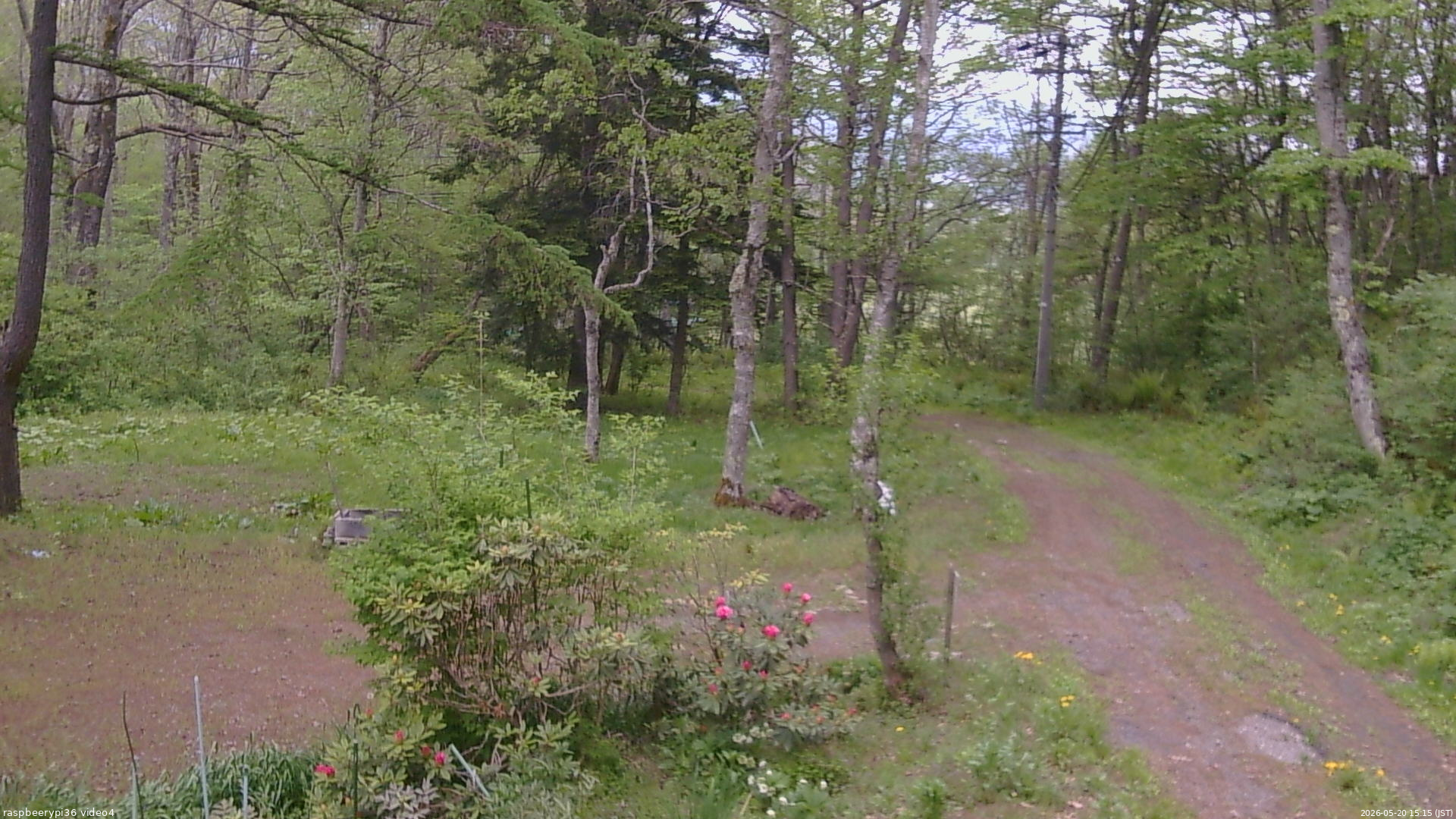 長野県菅平高原 ゆたか山荘 坂上 2026/05/20 15:15