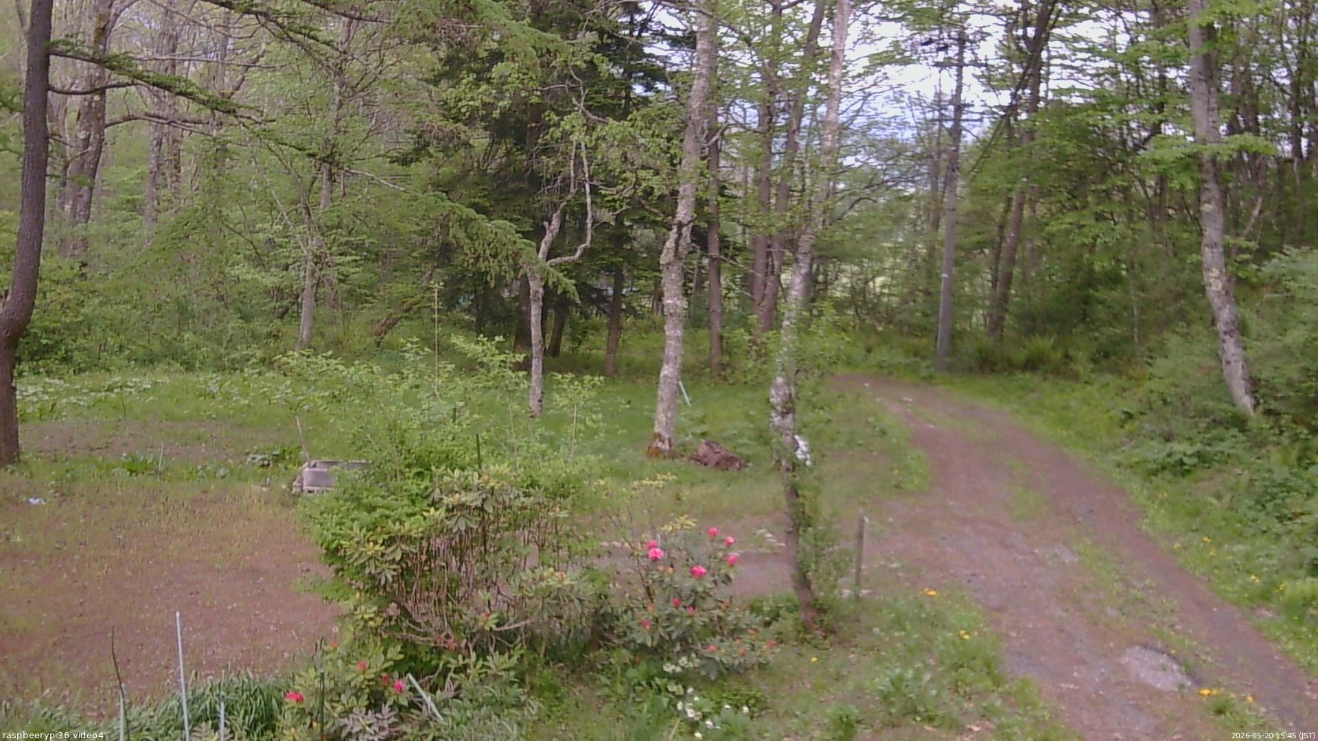 長野県菅平高原 ゆたか山荘 坂上 2026/05/20 15:45