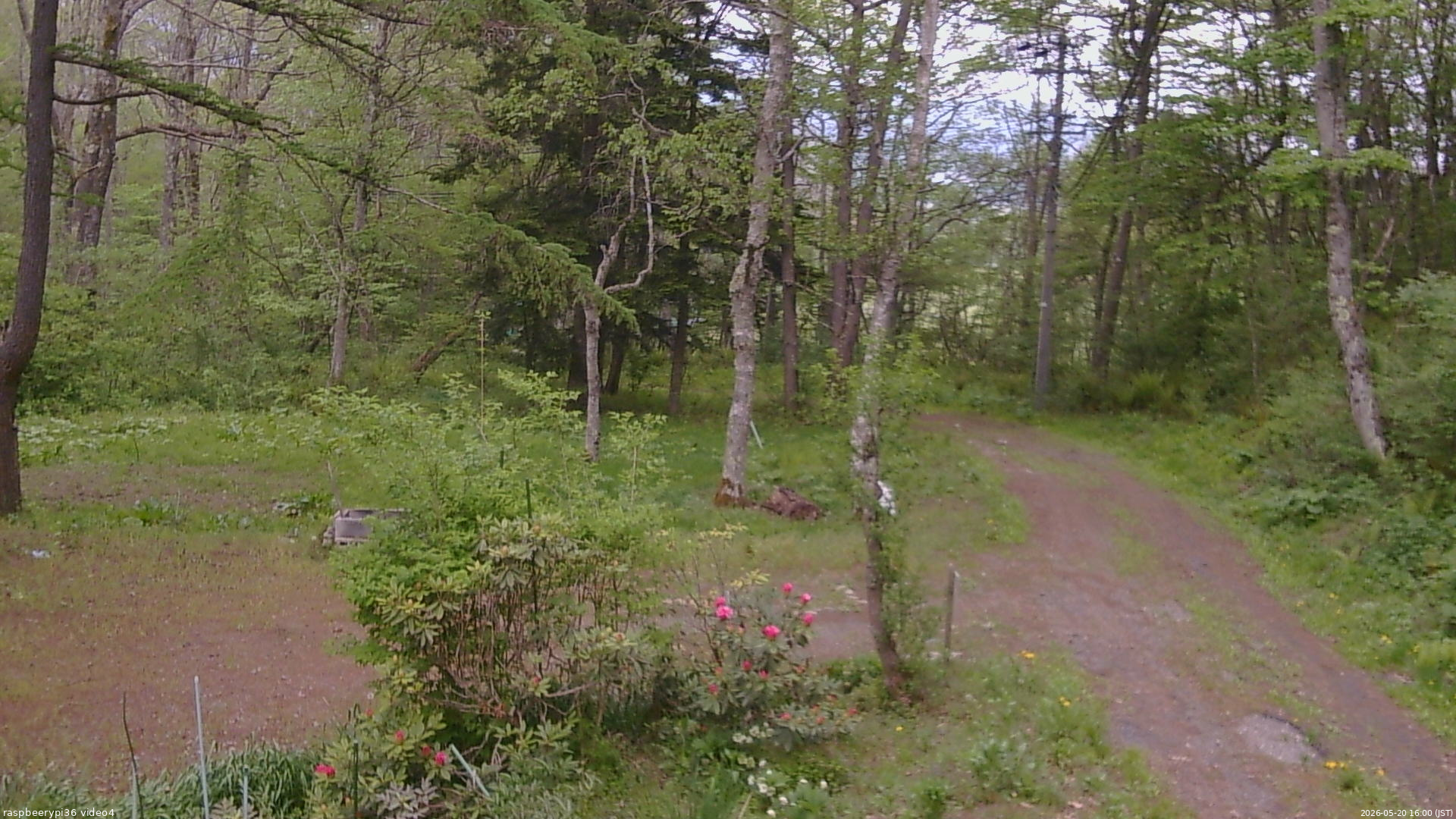 長野県菅平高原 ゆたか山荘 坂上 2026/05/20 16:00