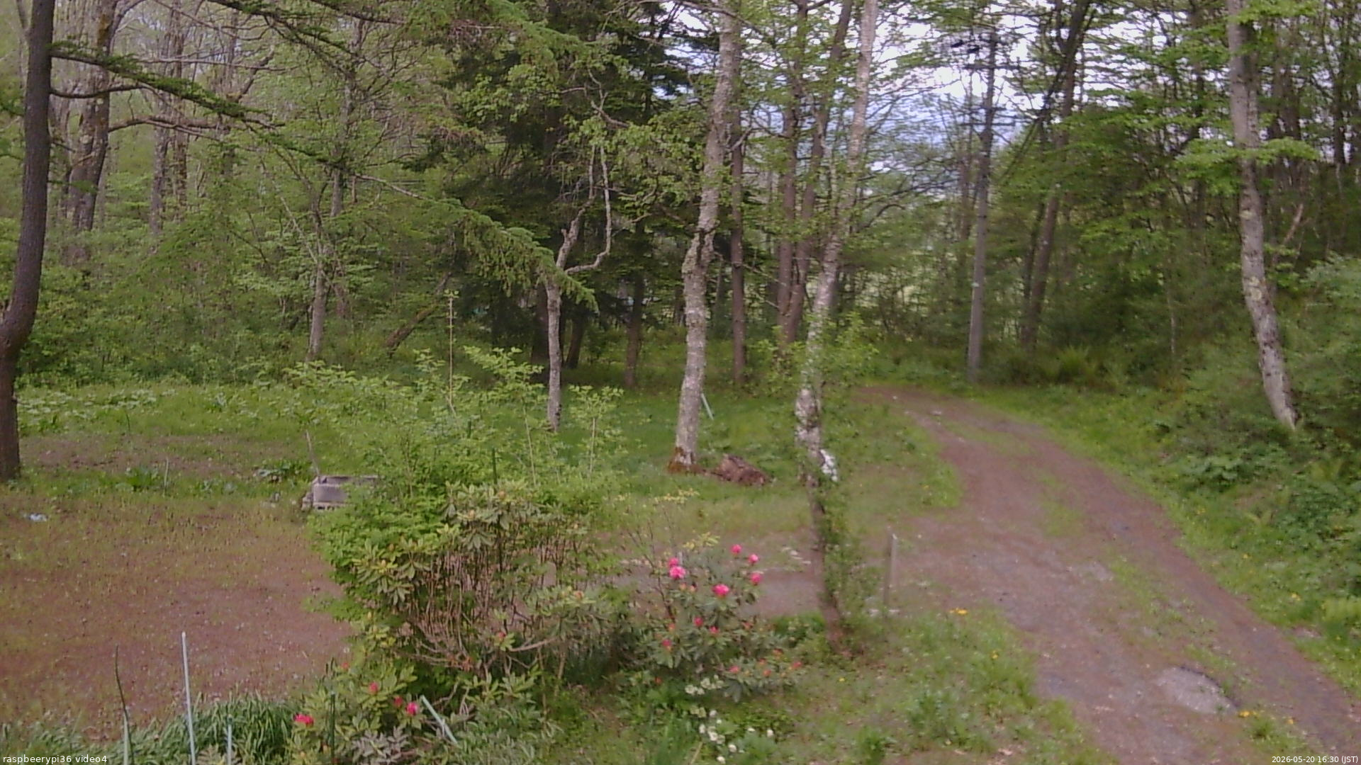 長野県菅平高原 ゆたか山荘 坂上 2026/05/20 16:30