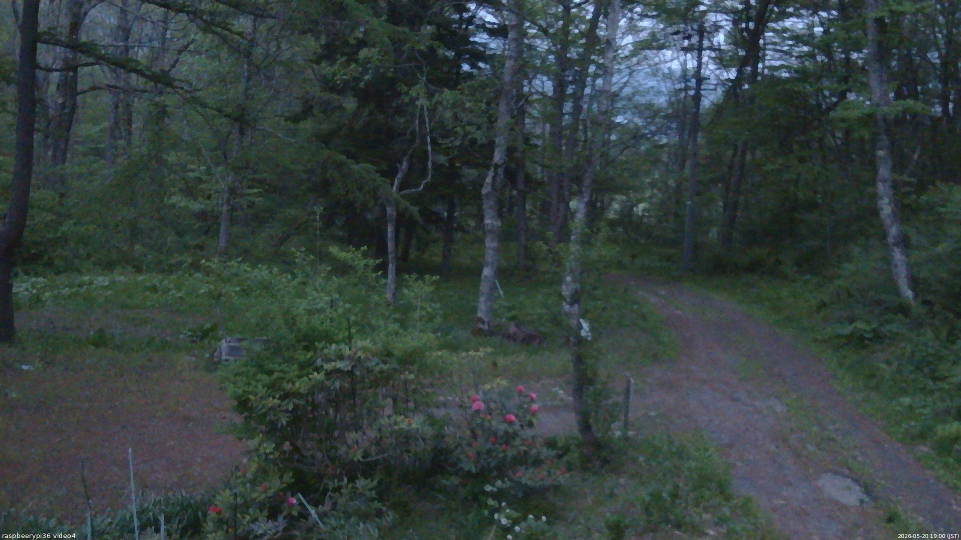 長野県菅平高原 ゆたか山荘 坂上 2026/05/20 19:00