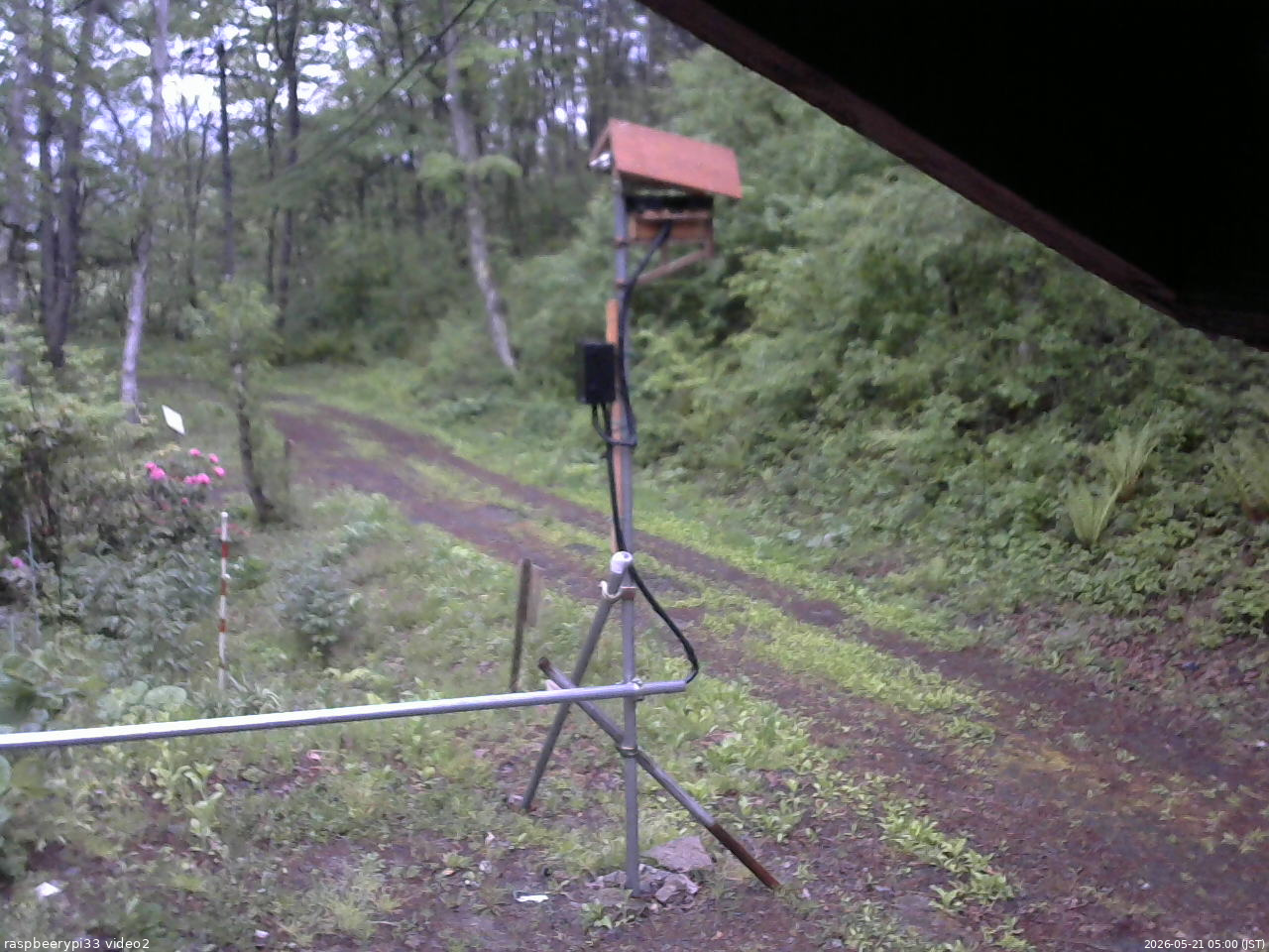 長野県菅平高原 ゆたか山荘 南側 2026/05/21 05:00